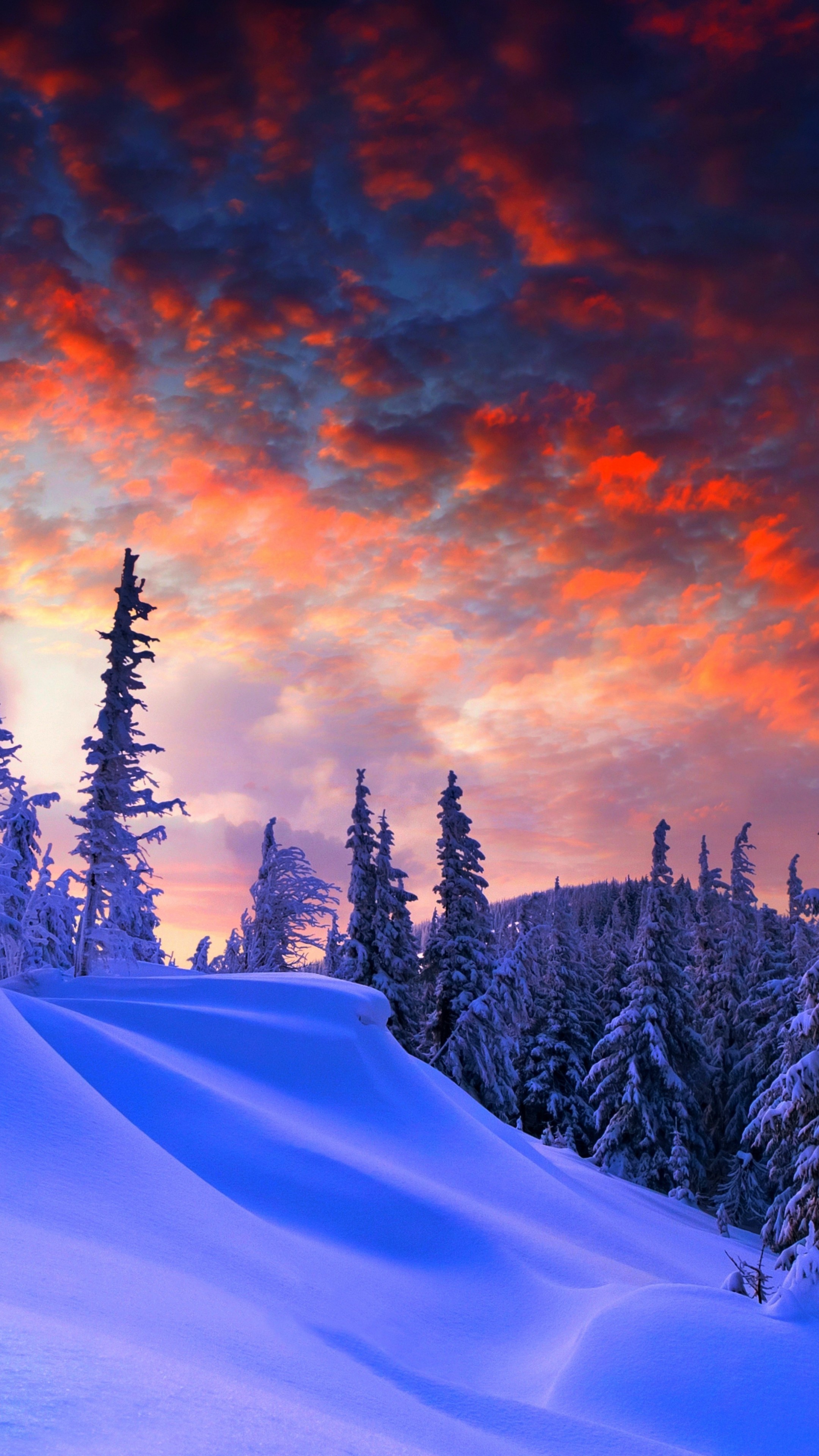 Snowy Winter Sunrise Wallpapers