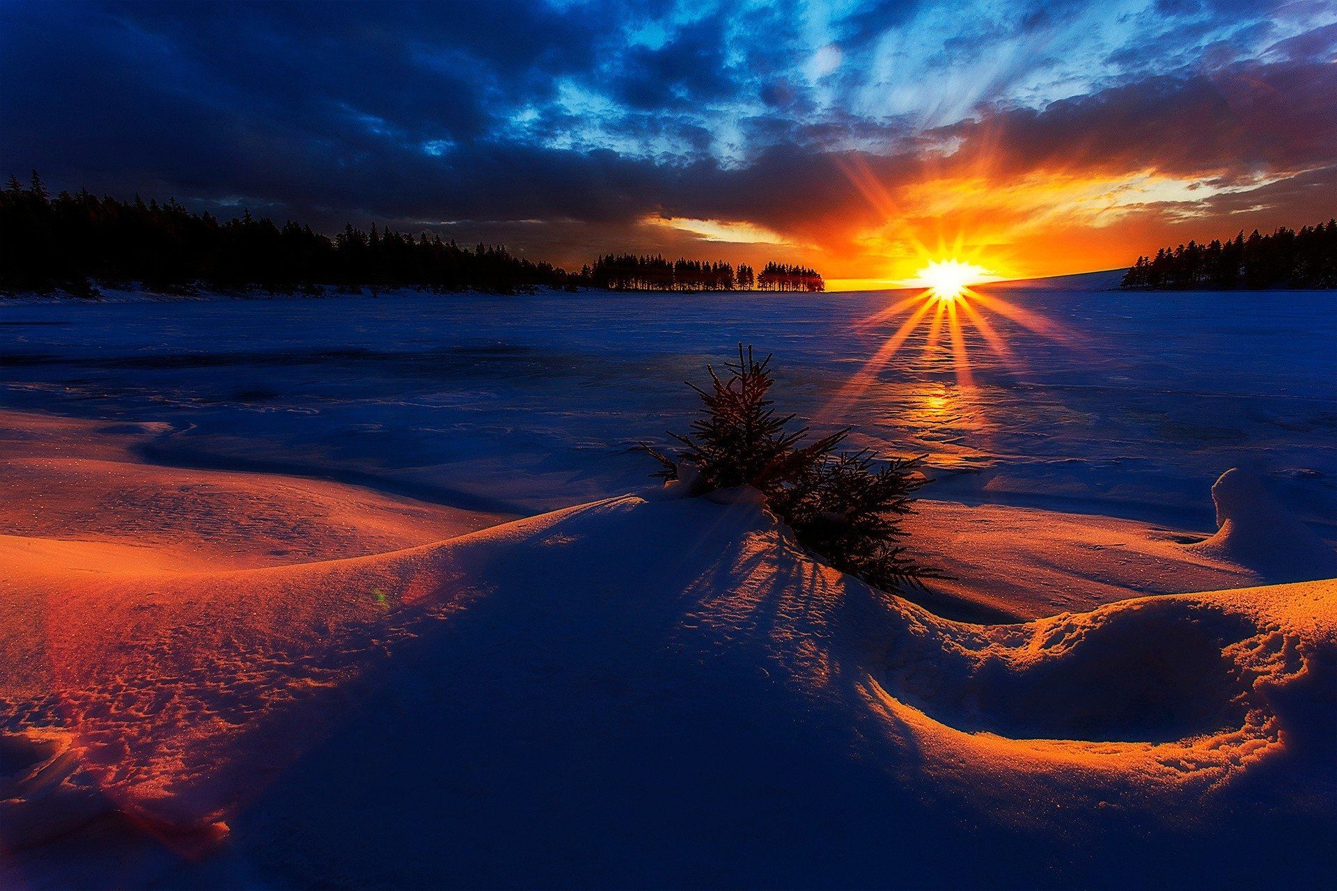 Snowy Winter Sunrise Wallpapers