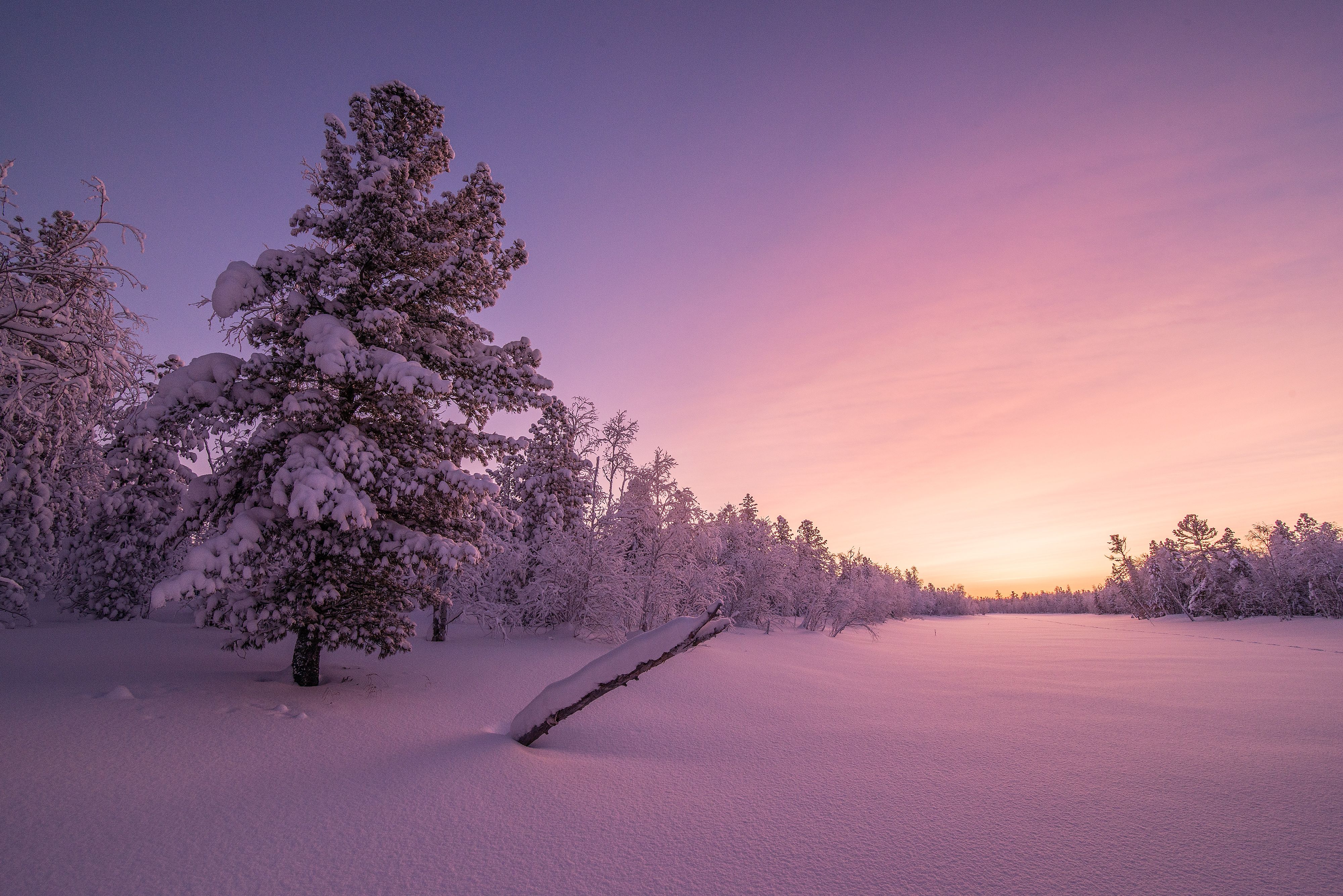 Snowy Winter Sunrise Wallpapers