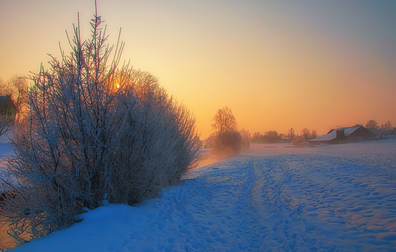 Snowy Winter Sunrise Wallpapers