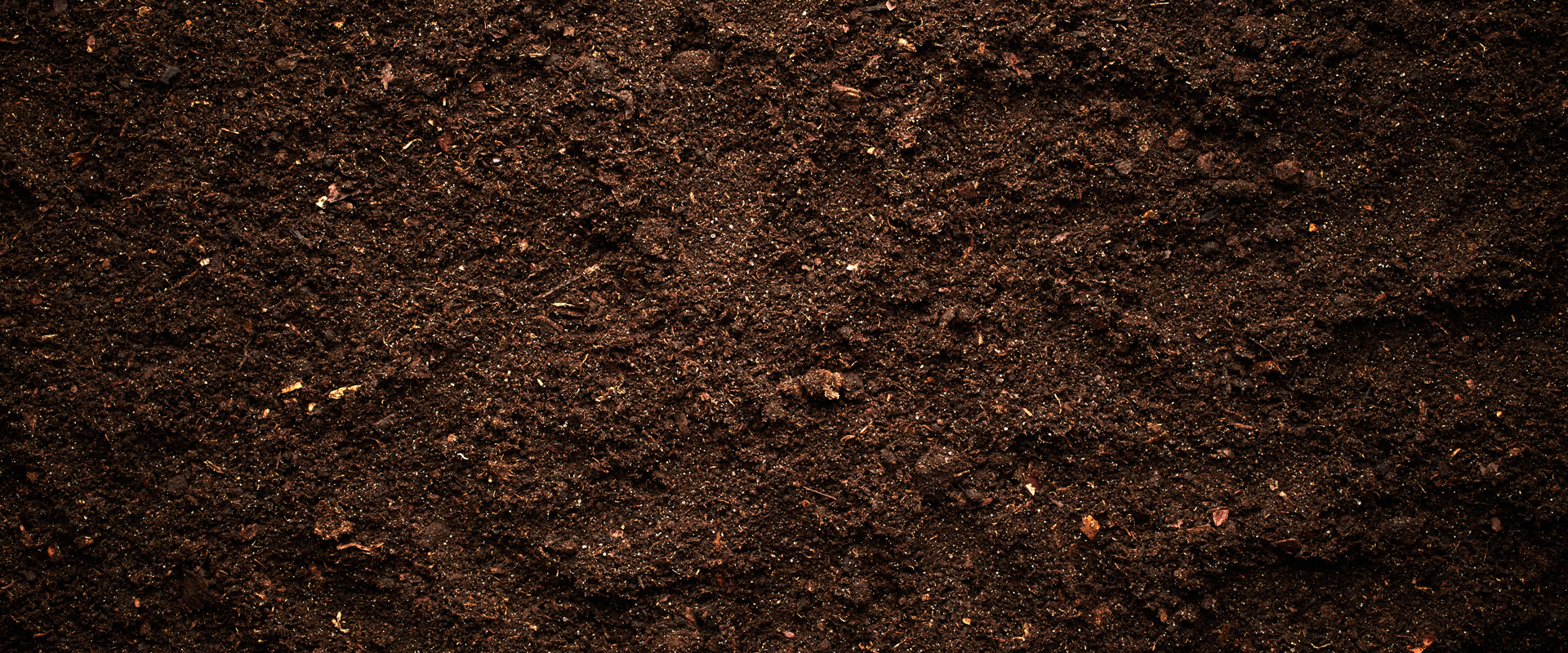 Soil Wallpapers