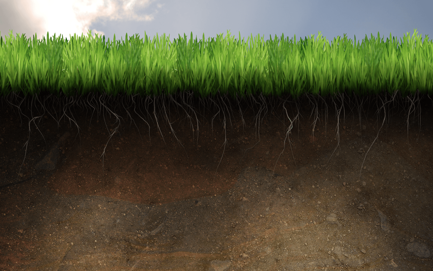 Soil Wallpapers