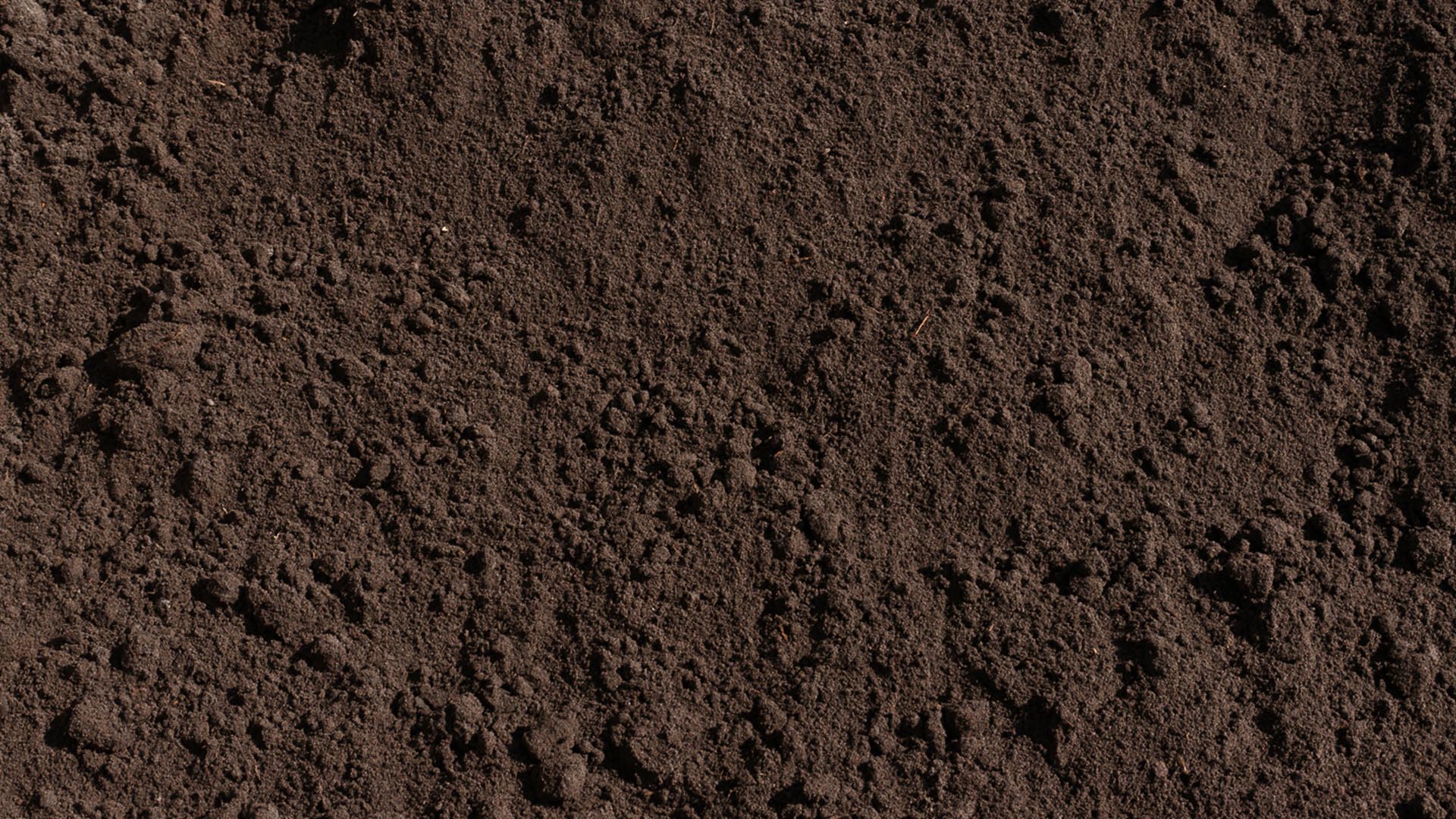 Soil Wallpapers