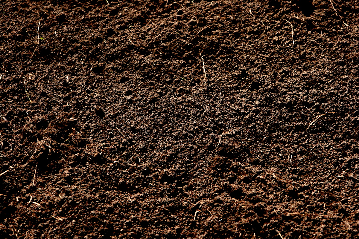 Soil Wallpapers