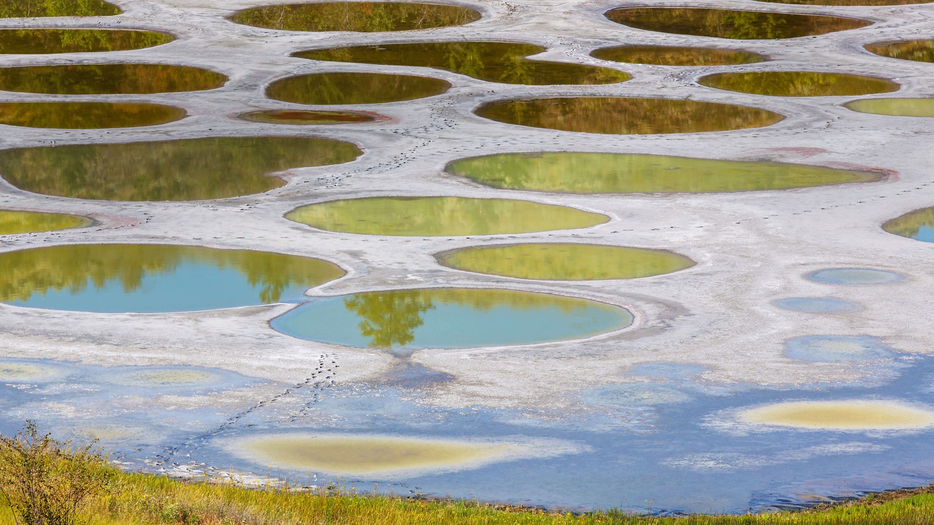 Spotted Lake Wallpapers