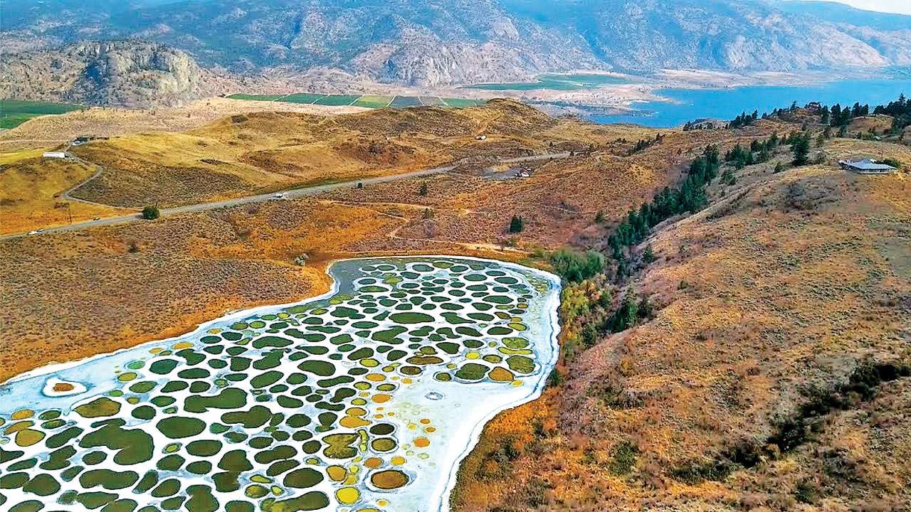 Spotted Lake Wallpapers