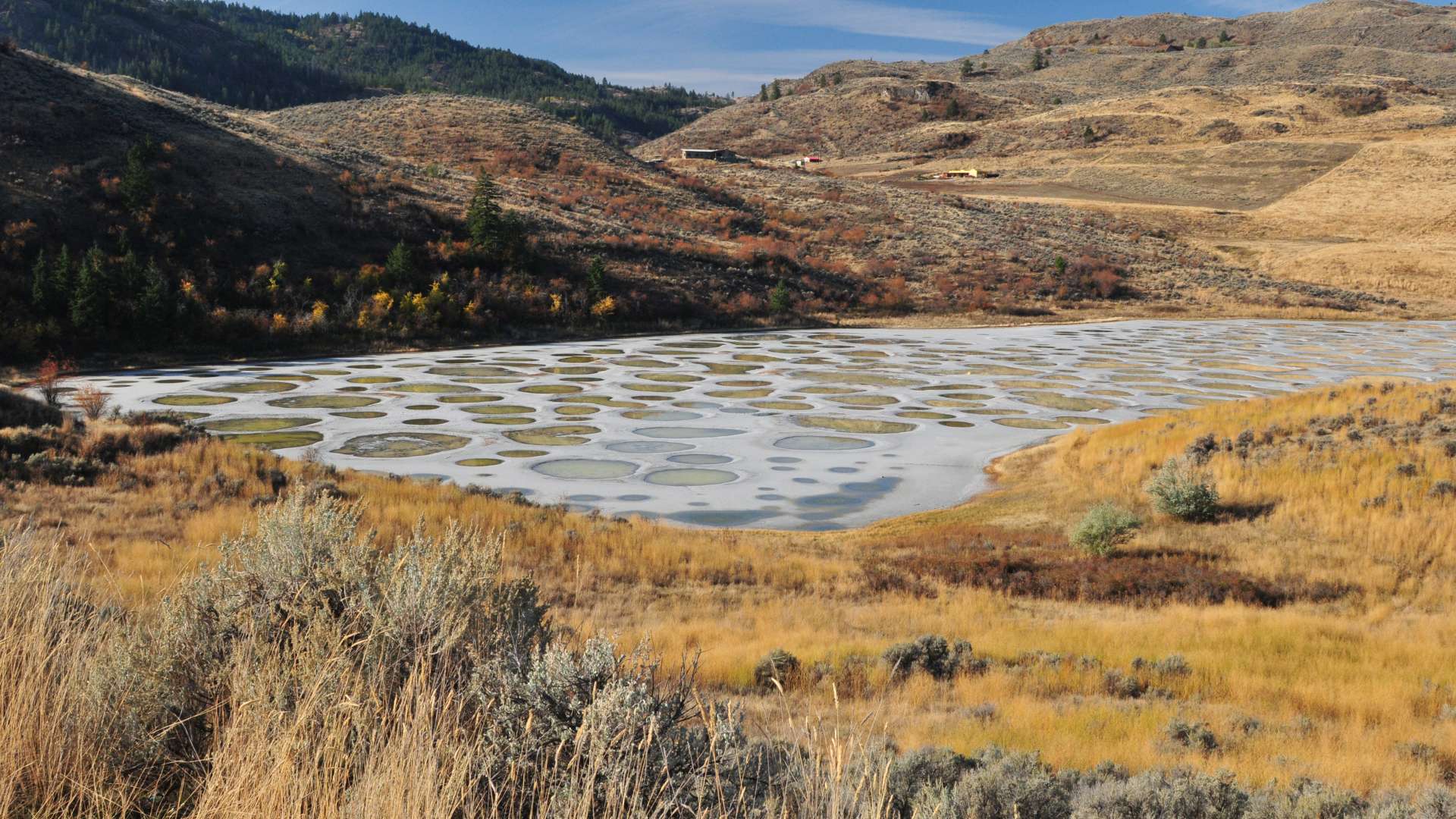 Spotted Lake Wallpapers