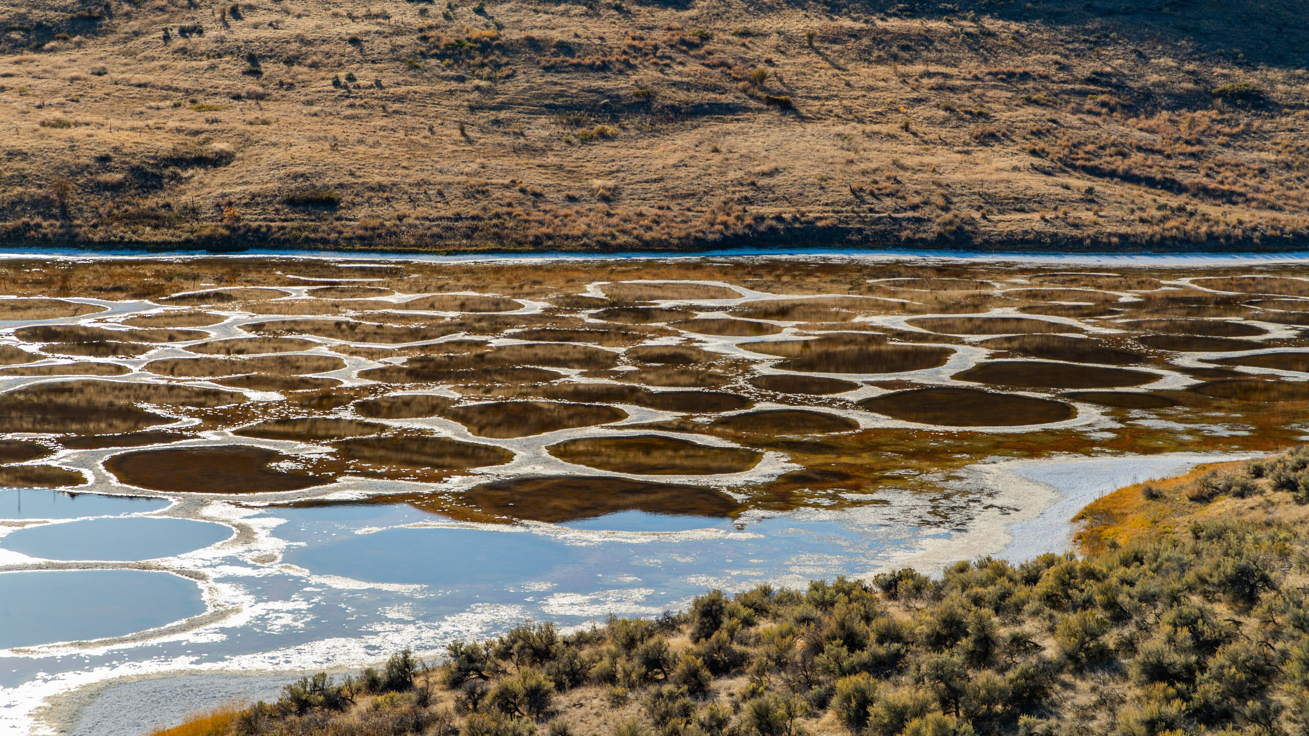 Spotted Lake Wallpapers