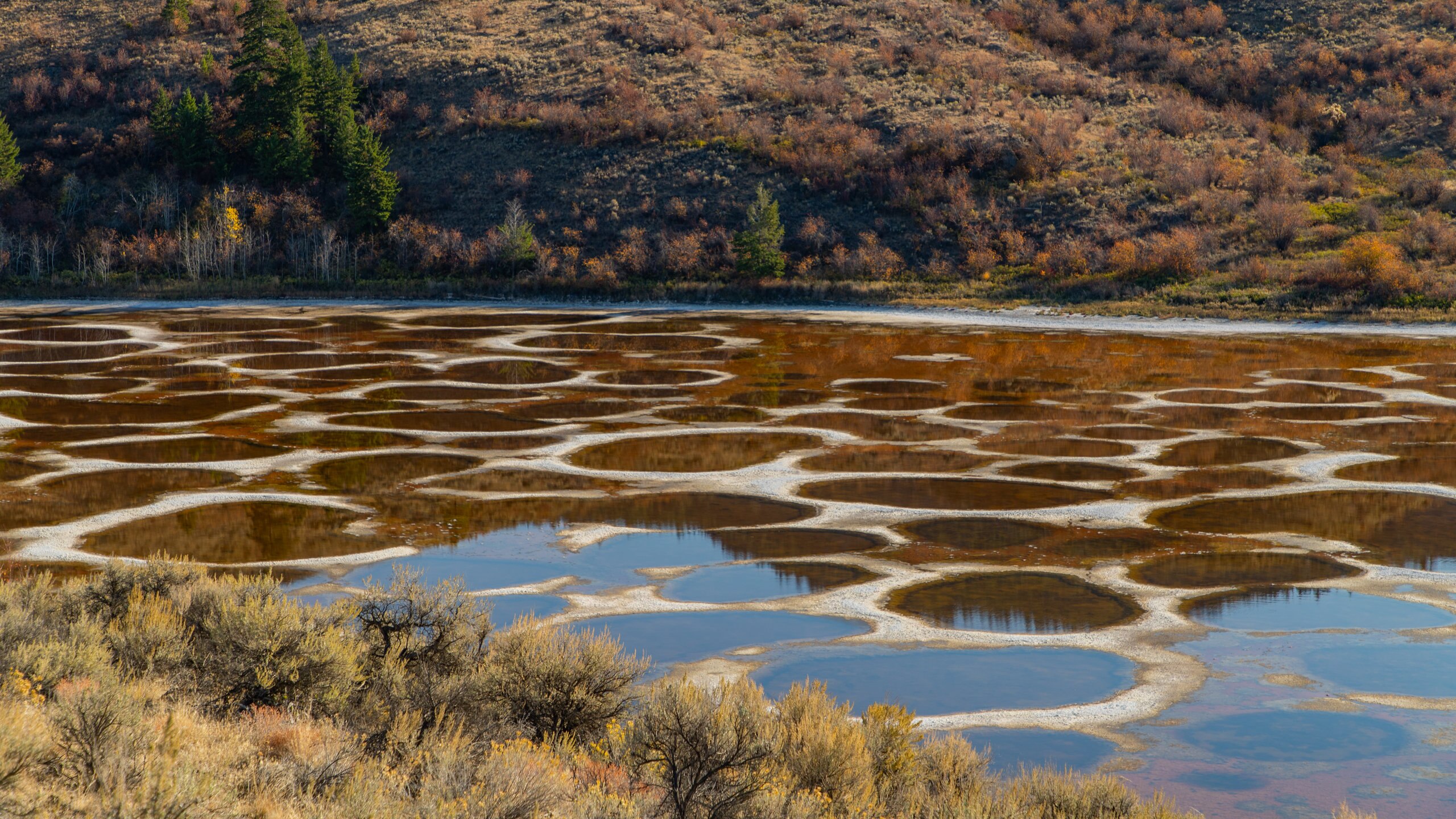 Spotted Lake Wallpapers