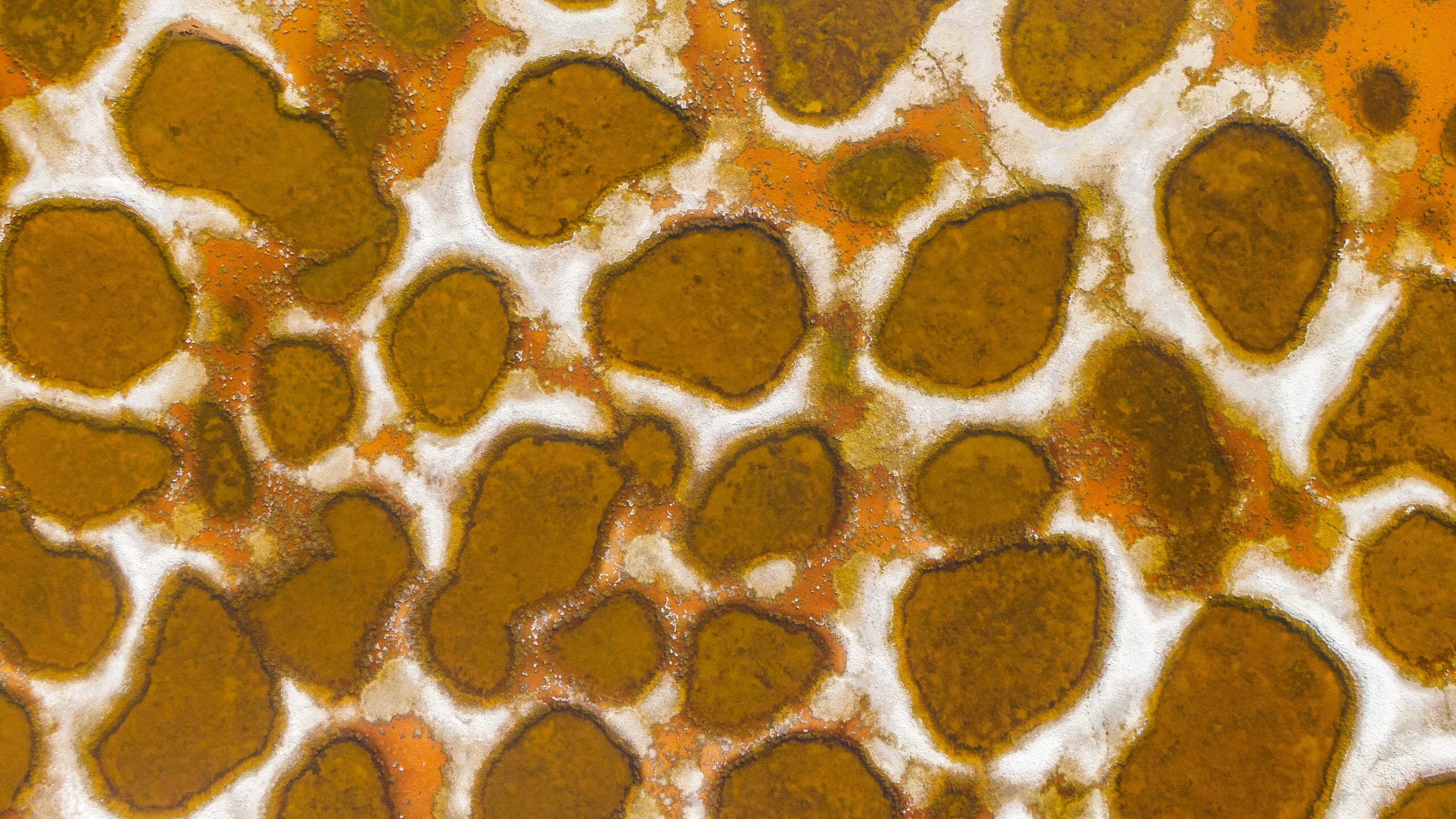 Spotted Lake Wallpapers