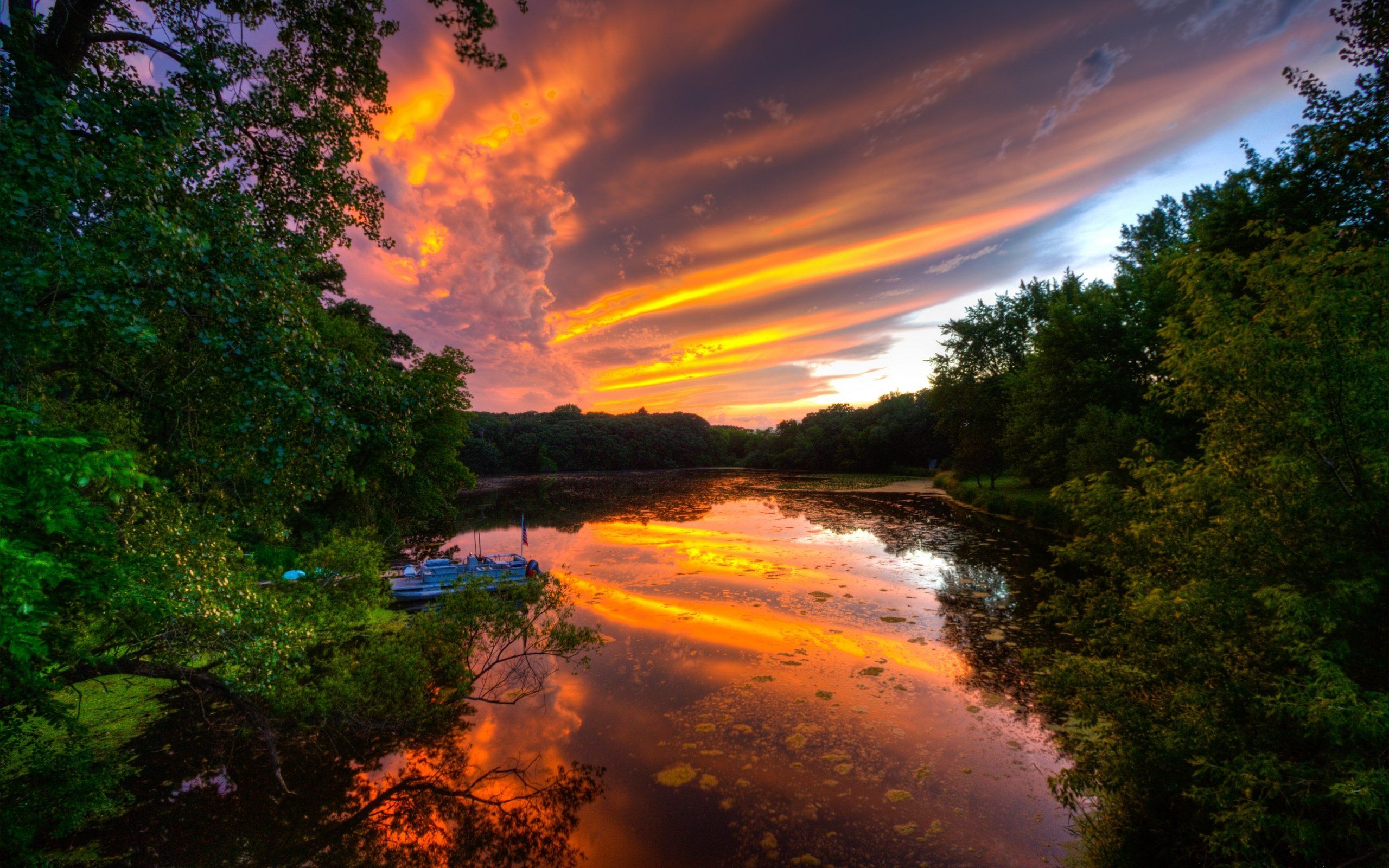 Spring Trees And Sunset Wallpapers