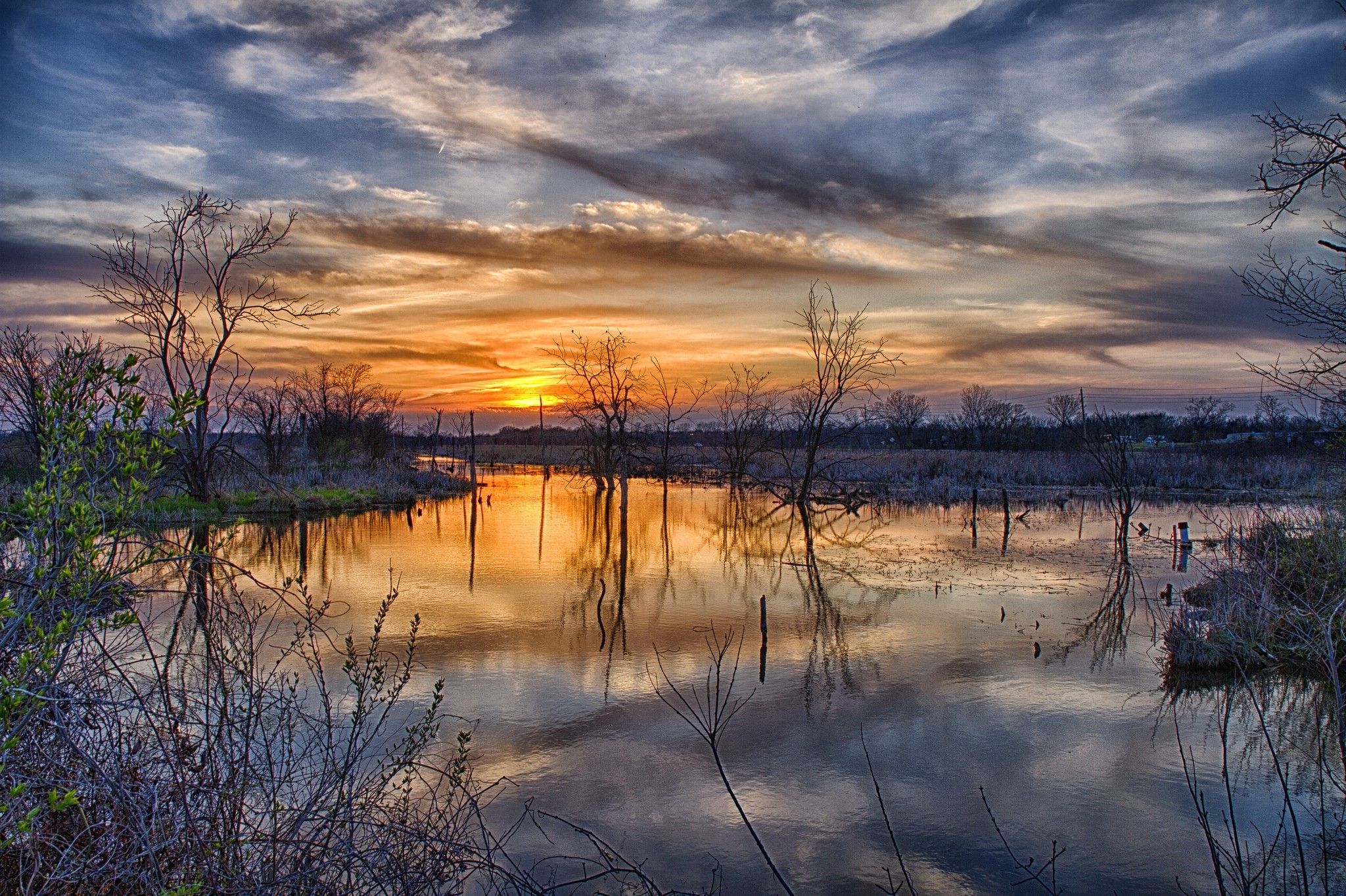 Spring Trees And Sunset Wallpapers