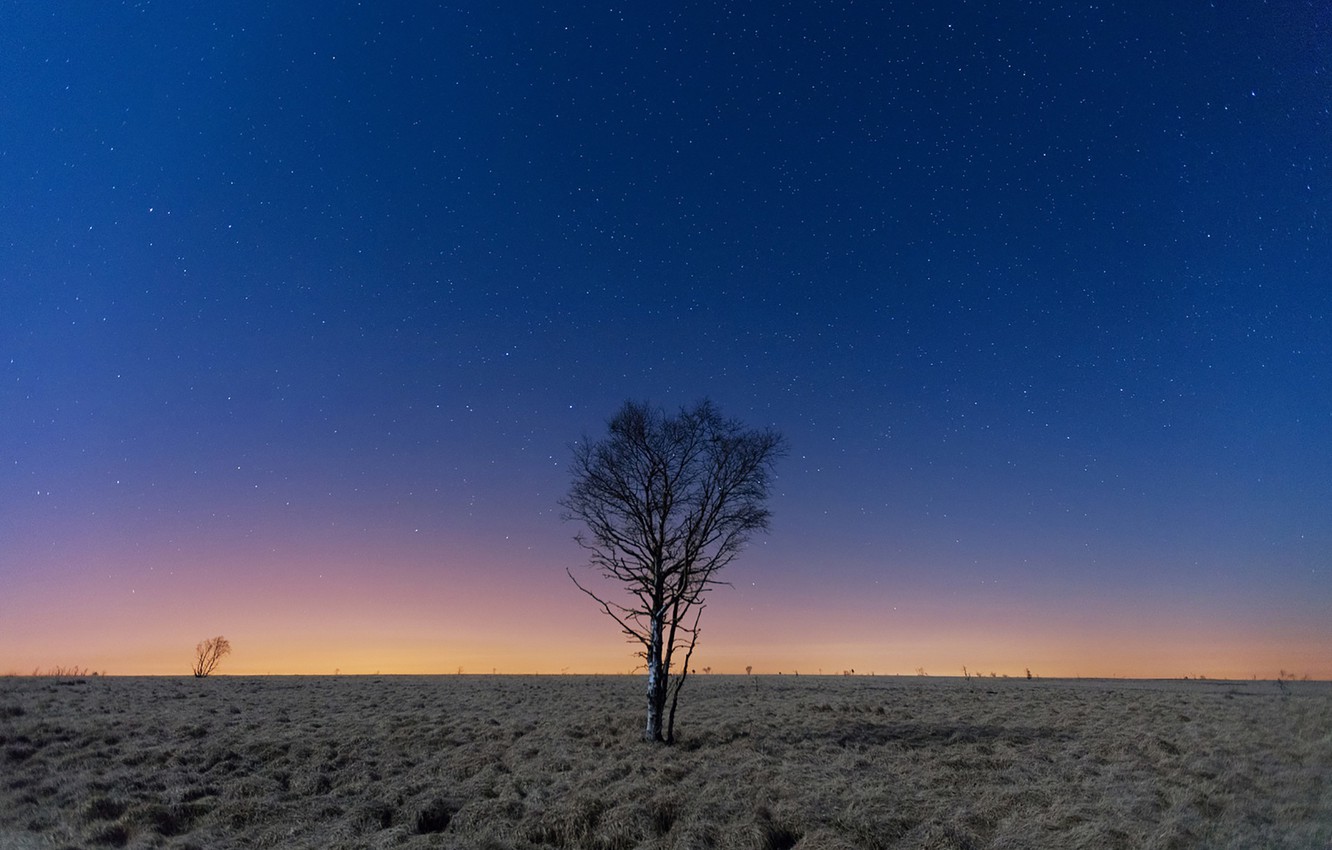 Starry Sky In Open Field Wallpapers