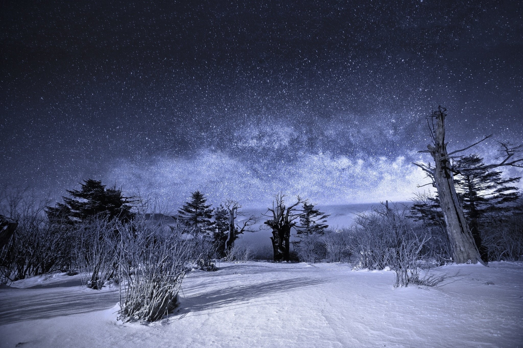 Starry Winter Night Wallpapers