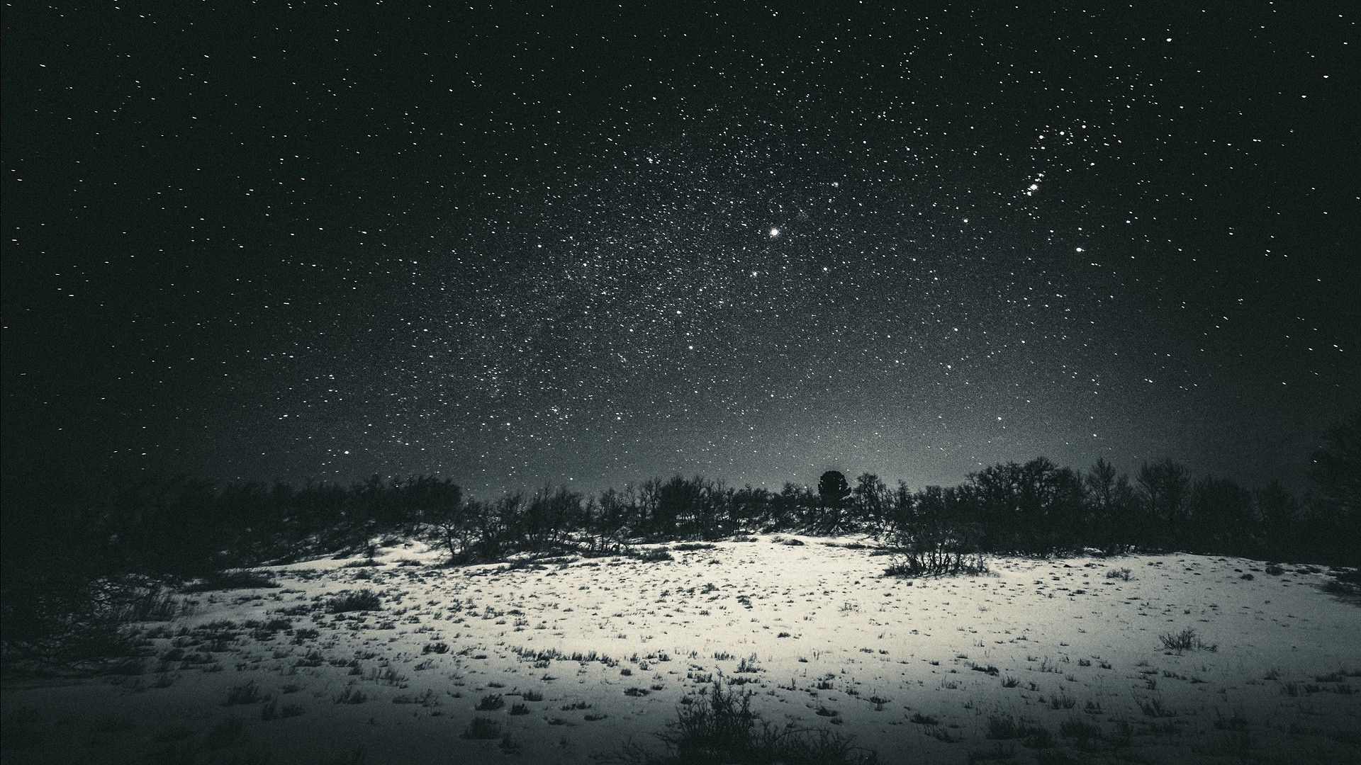 Starry Winter Night Wallpapers