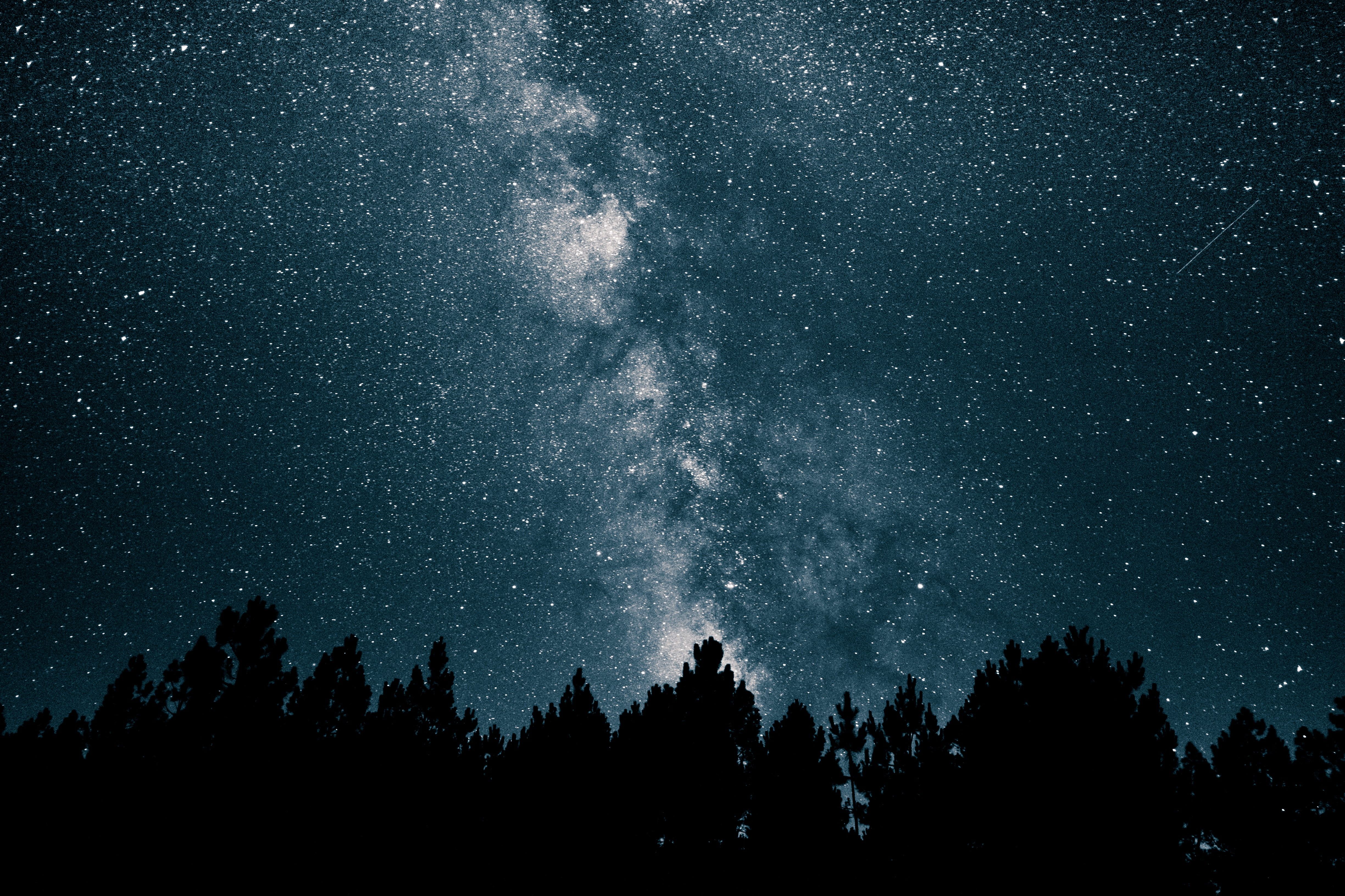 Stars And Trees In Starry Night Wallpapers