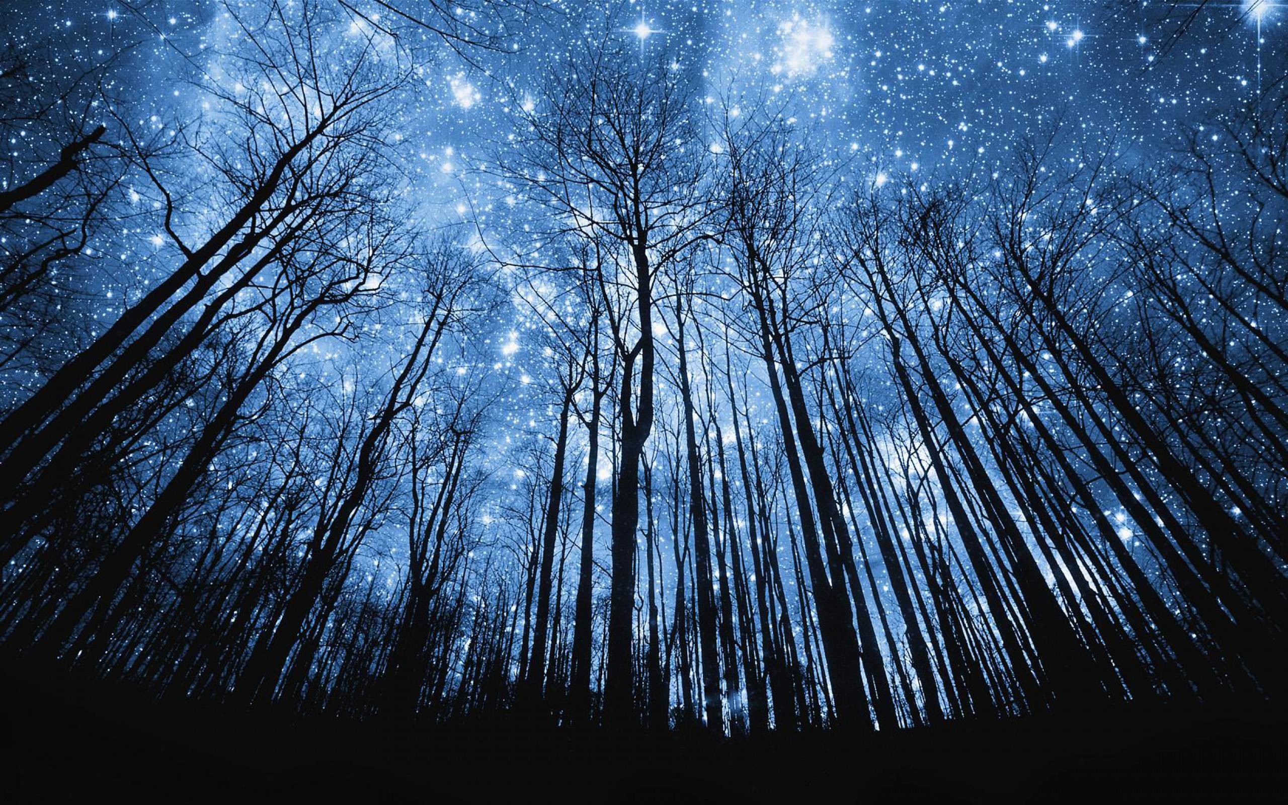 Stars And Trees In Starry Night Wallpapers