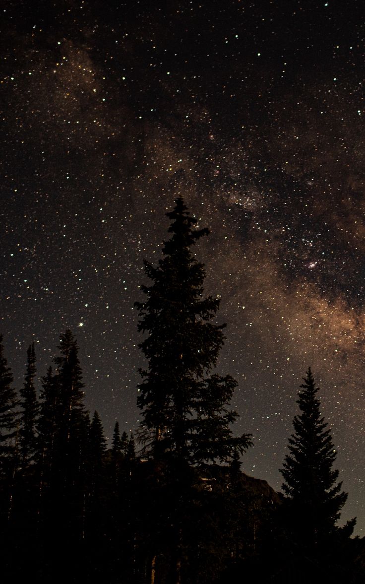 Stars Trees Night Dark Sky Wallpapers