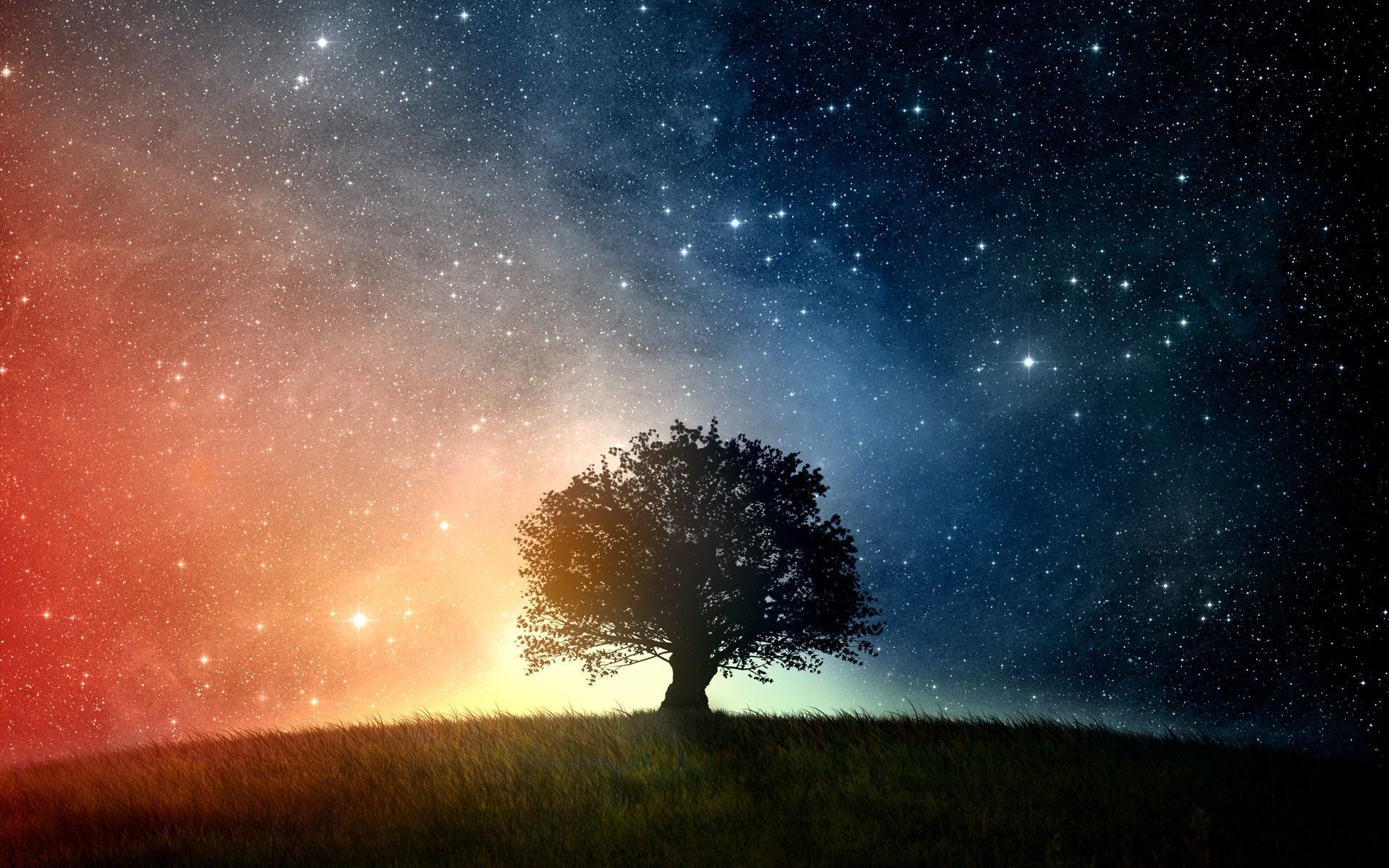 Stars Trees Night Dark Sky Wallpapers