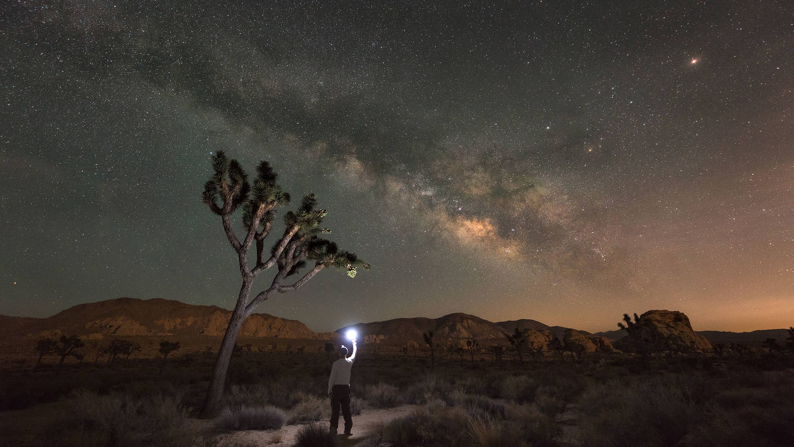 Stars Trees Night Dark Sky Wallpapers