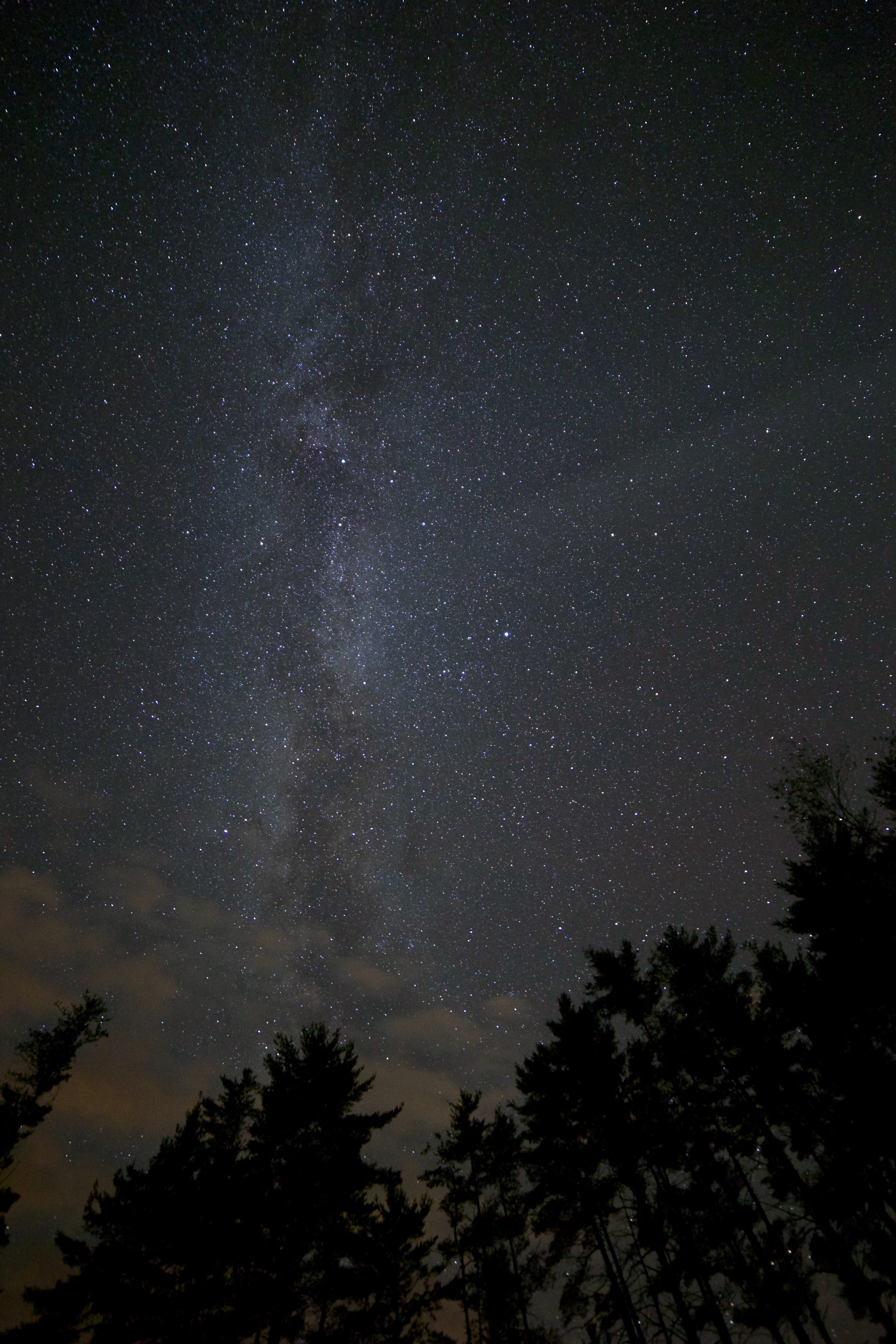 Stars Trees Night Dark Sky Wallpapers