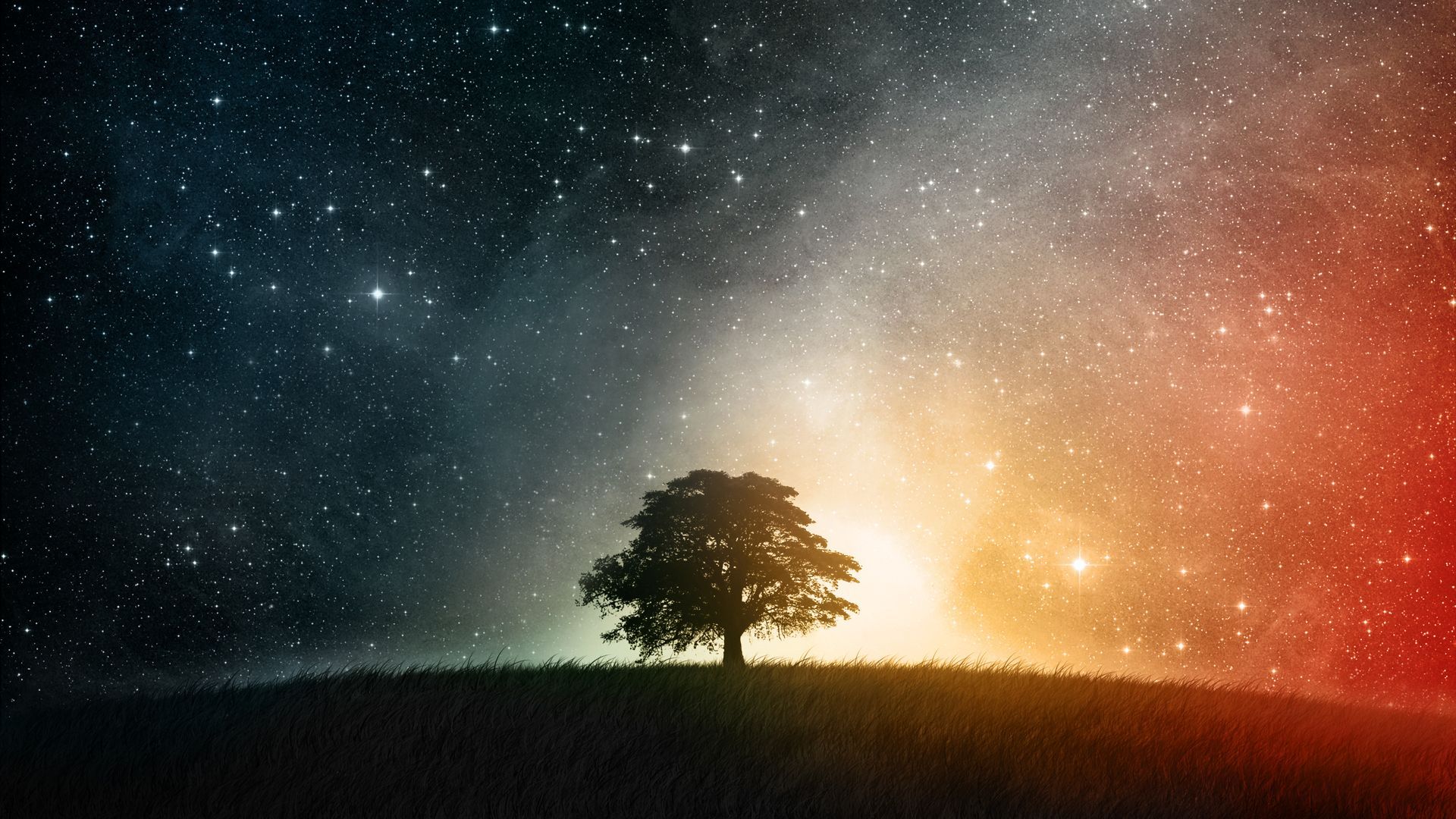 Stars Trees Night Dark Sky Wallpapers