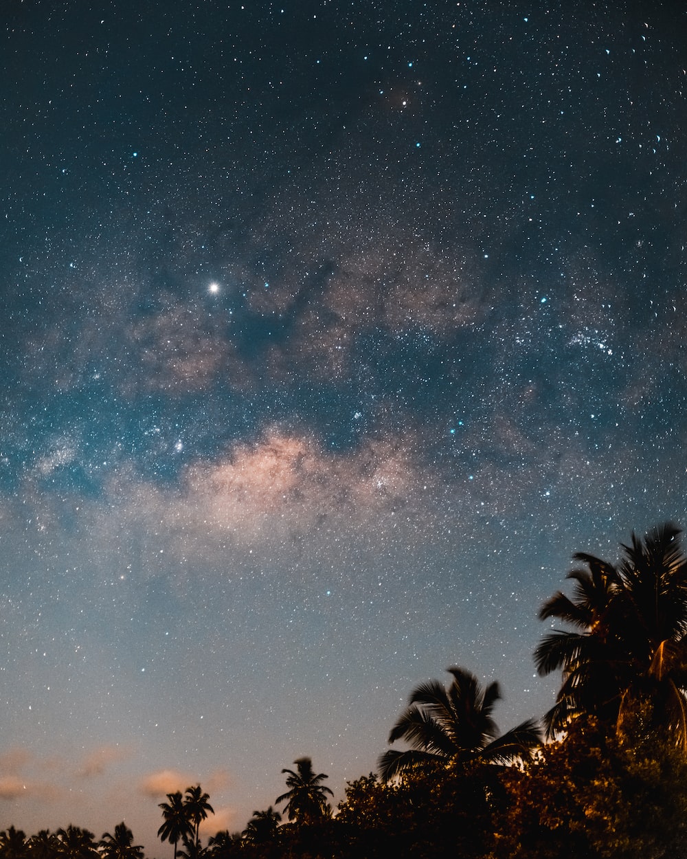 Stars Trees Night Dark Sky Wallpapers