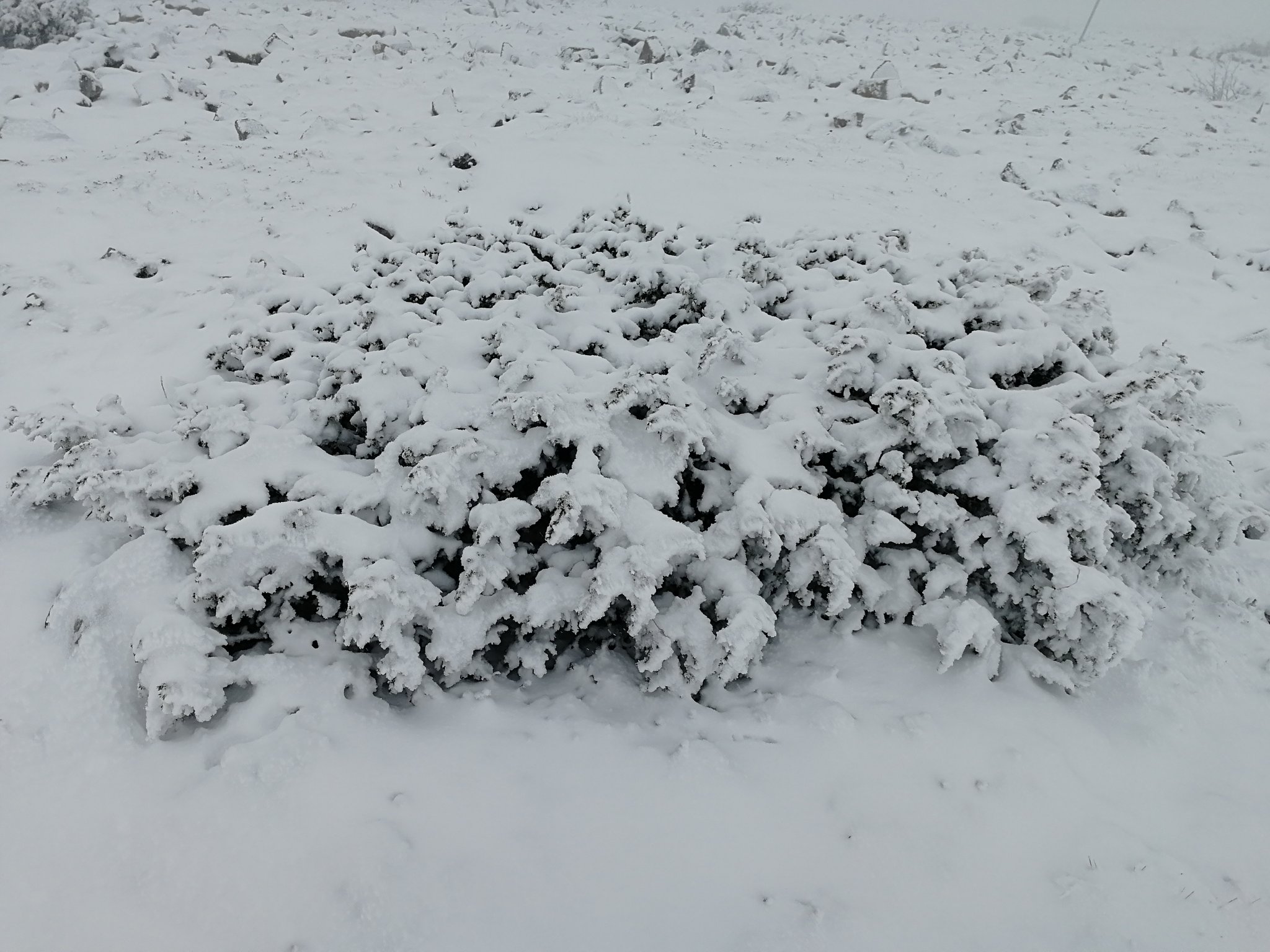 Stone Mountains Snow In Monochrome Wallpapers