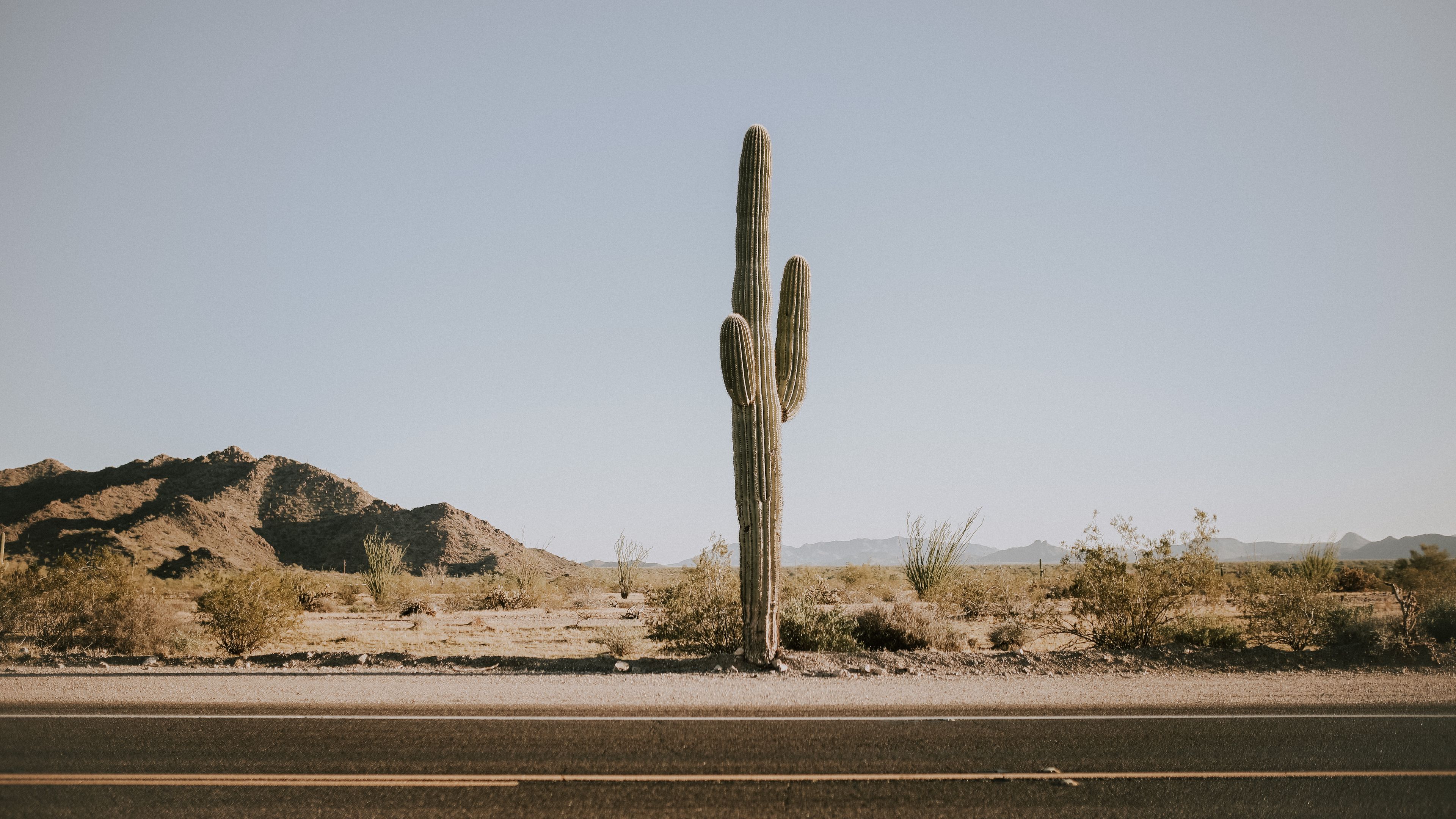 Storm At Cactus Desert Wallpapers