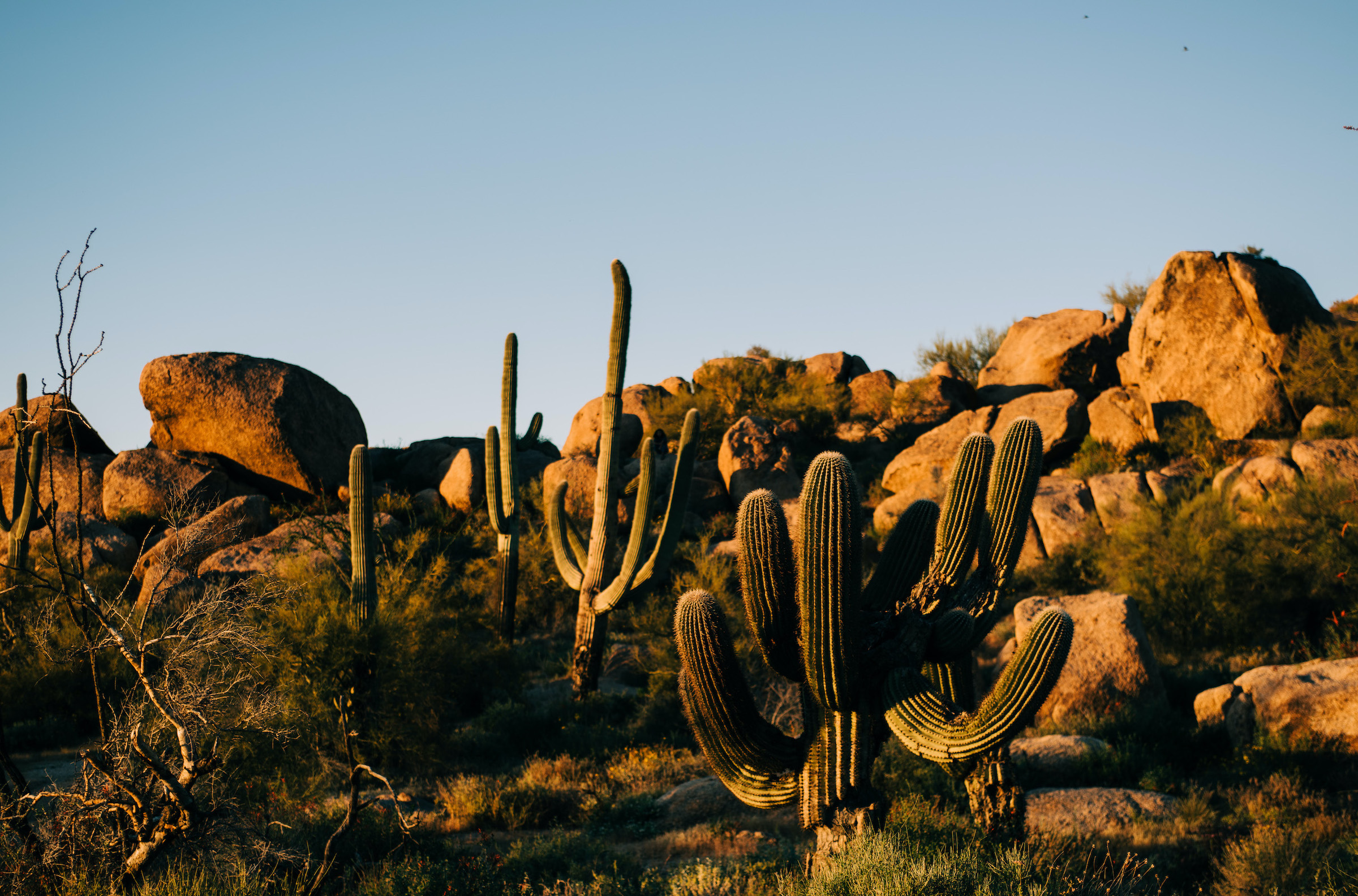 Storm At Cactus Desert Wallpapers