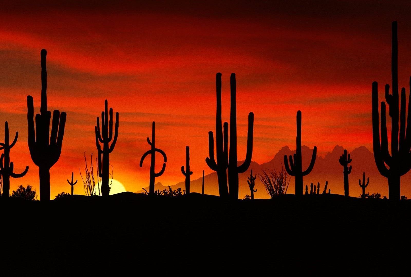 Storm At Cactus Desert Wallpapers