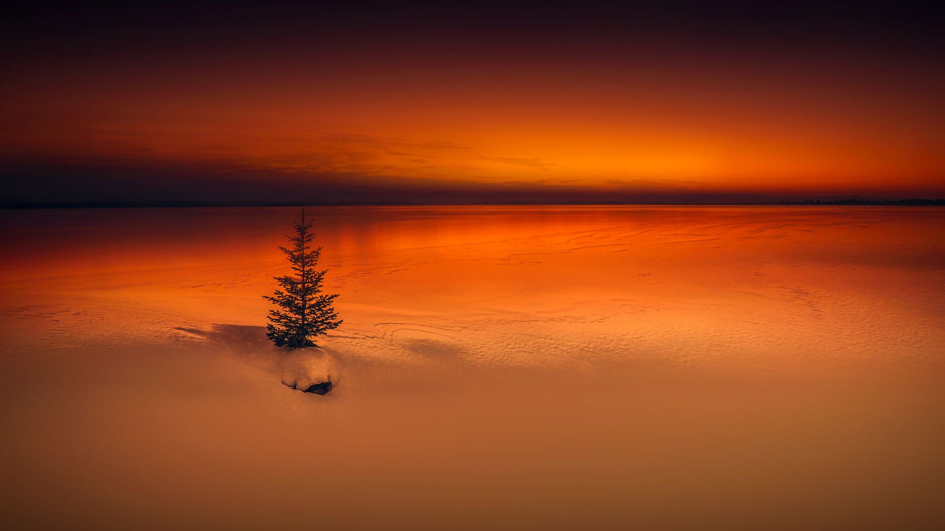 Sunset And Horizon Orange Reflection Wallpapers