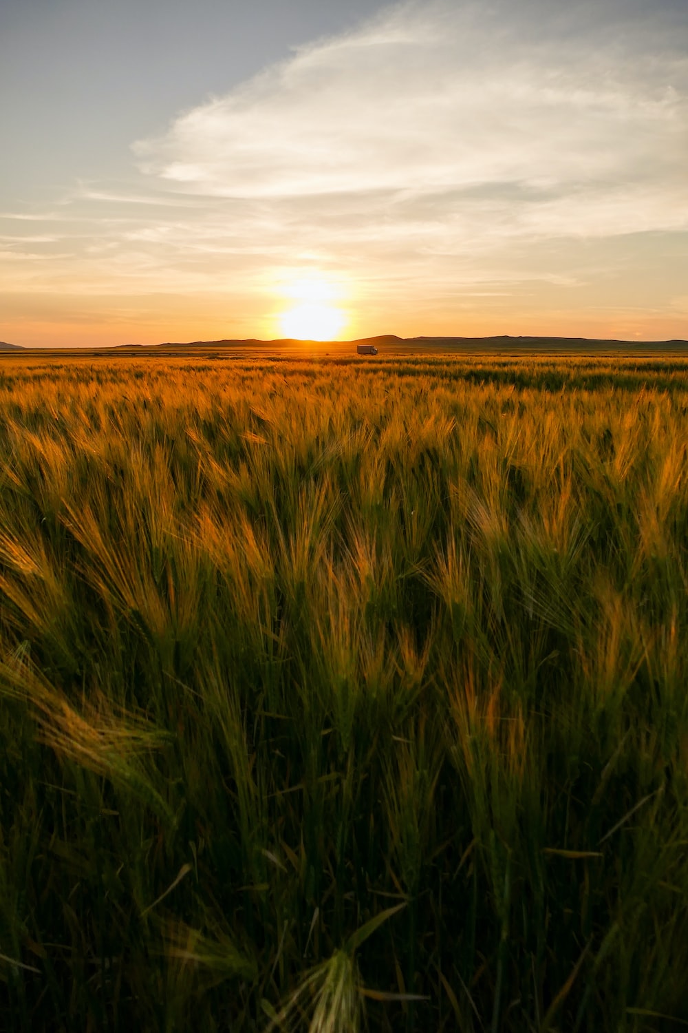 Sunset Over Field Wallpapers