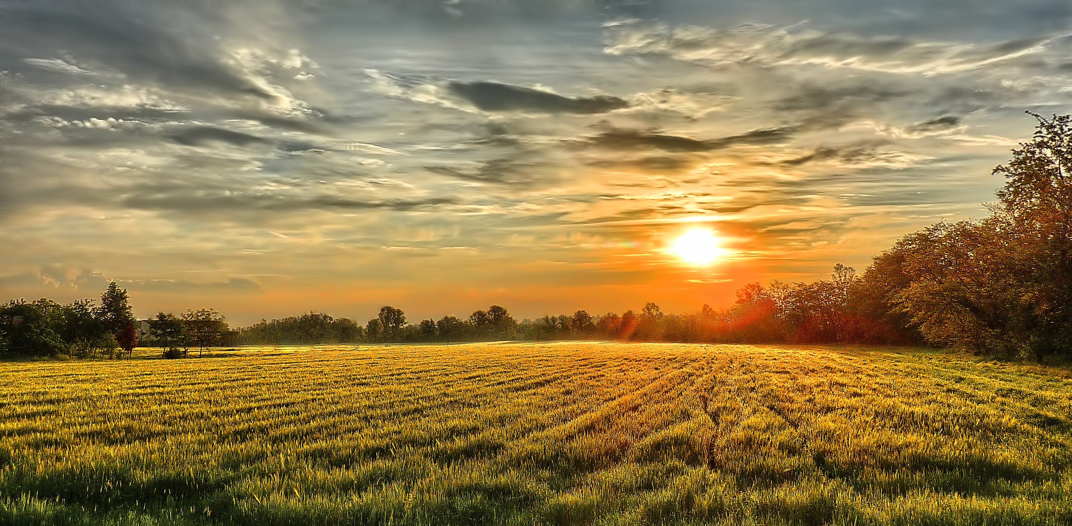 Sunset Over Field Wallpapers