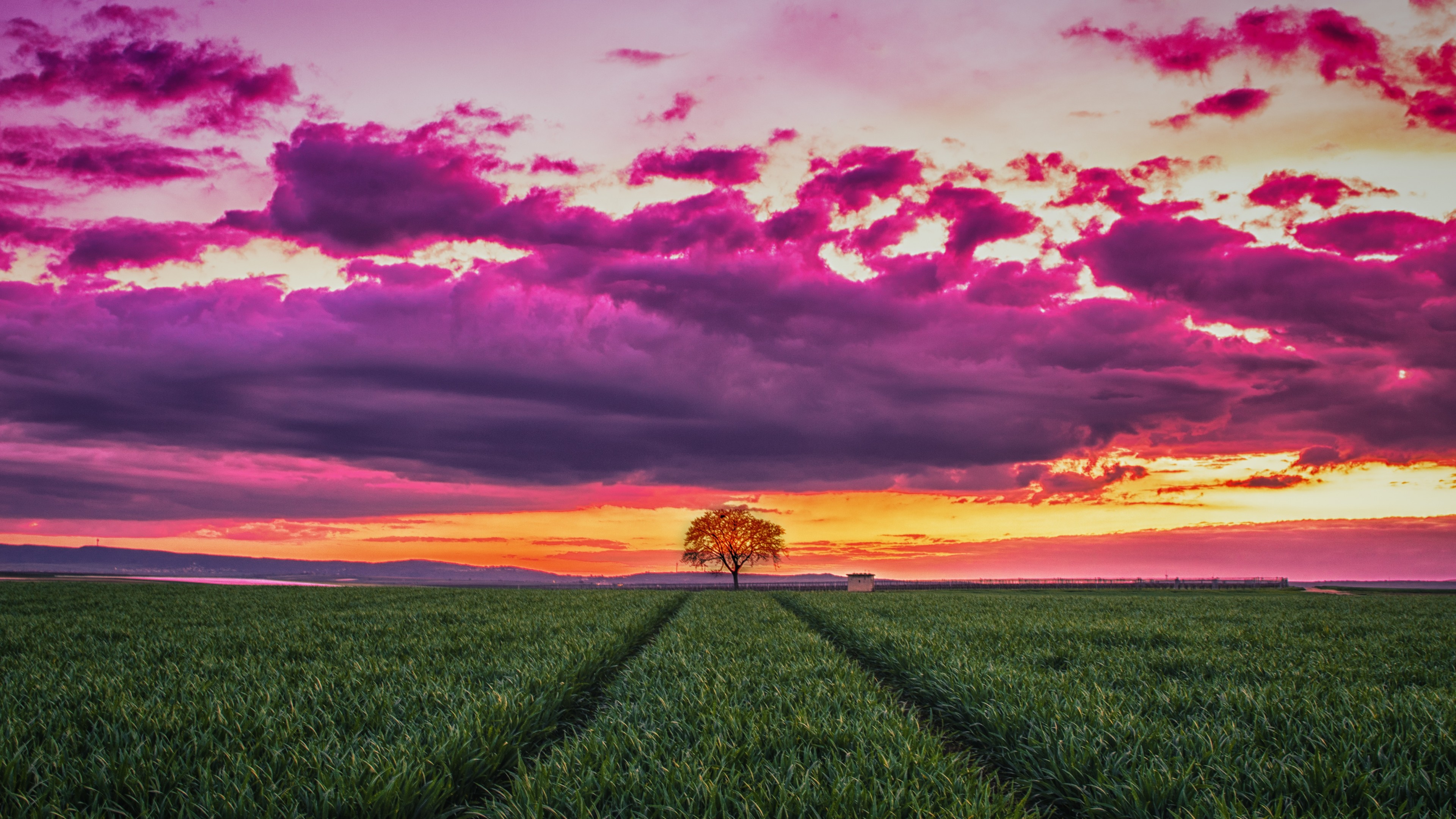 Sunset Over Field Wallpapers