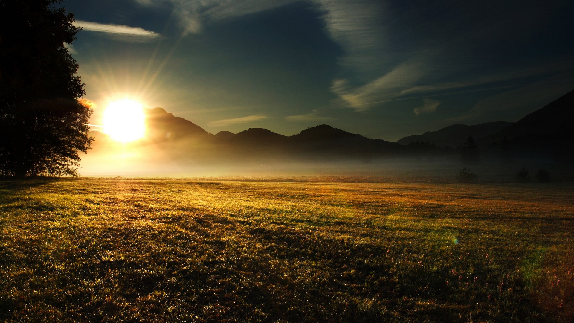 Sunset Over Field Wallpapers