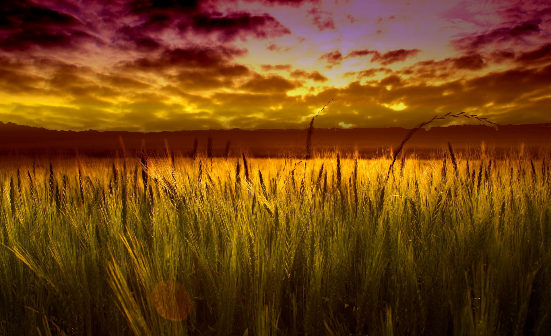 Sunset Over Field Wallpapers