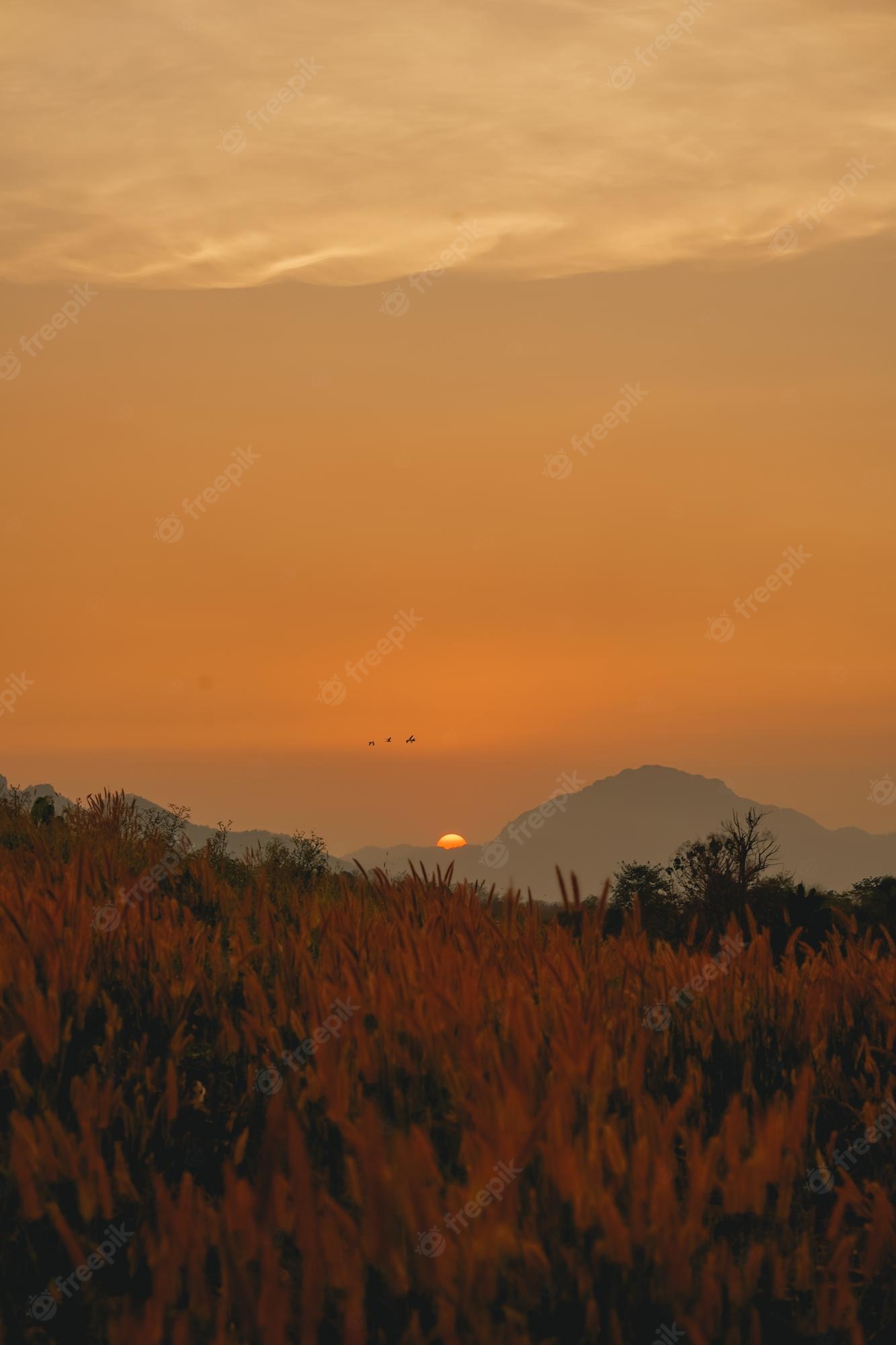 Sunset Over Mountain Field Wallpapers