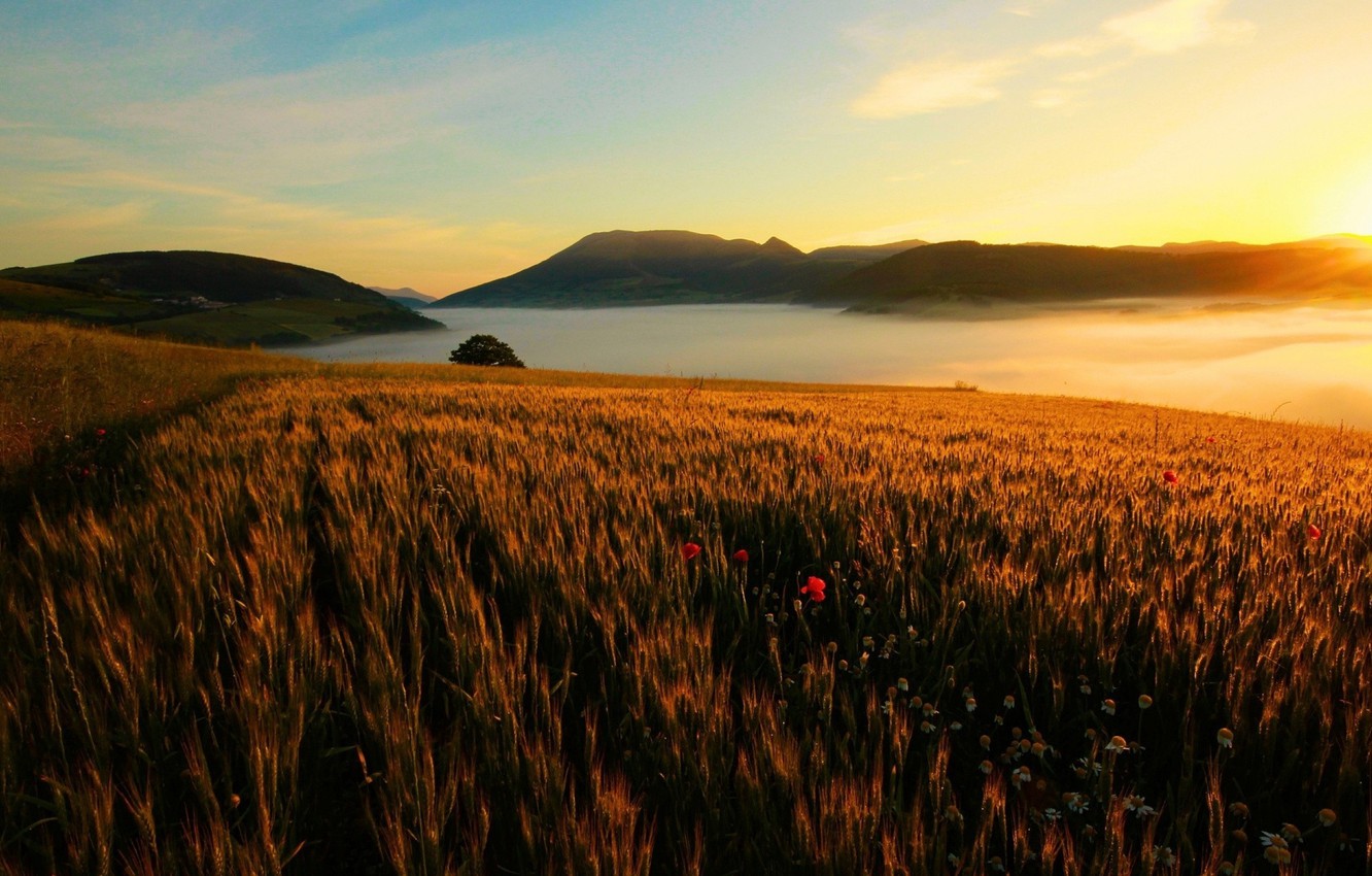 Sunset Over Mountain Field Wallpapers