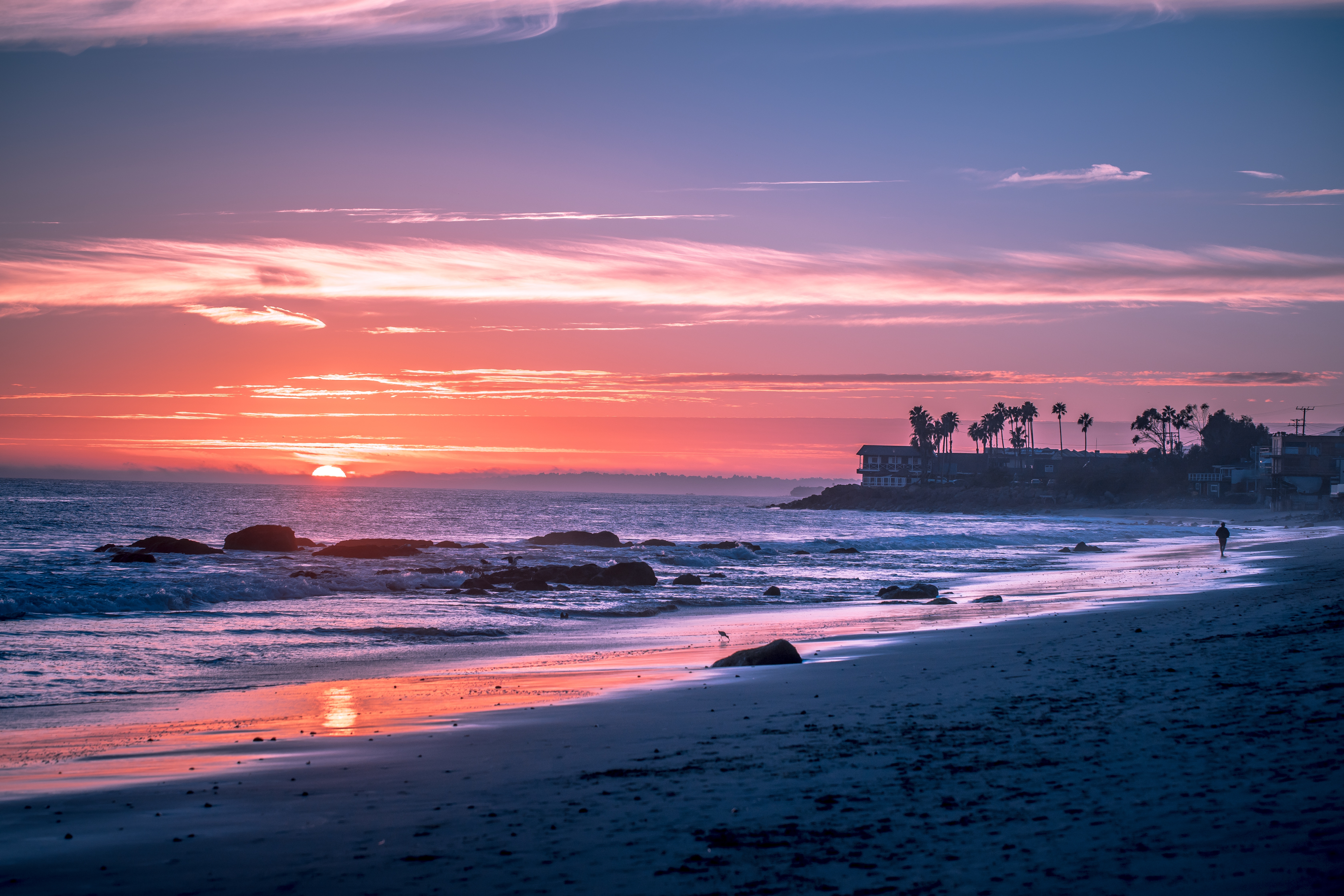 Sunset Tree Red Ocean And Sky Wallpapers