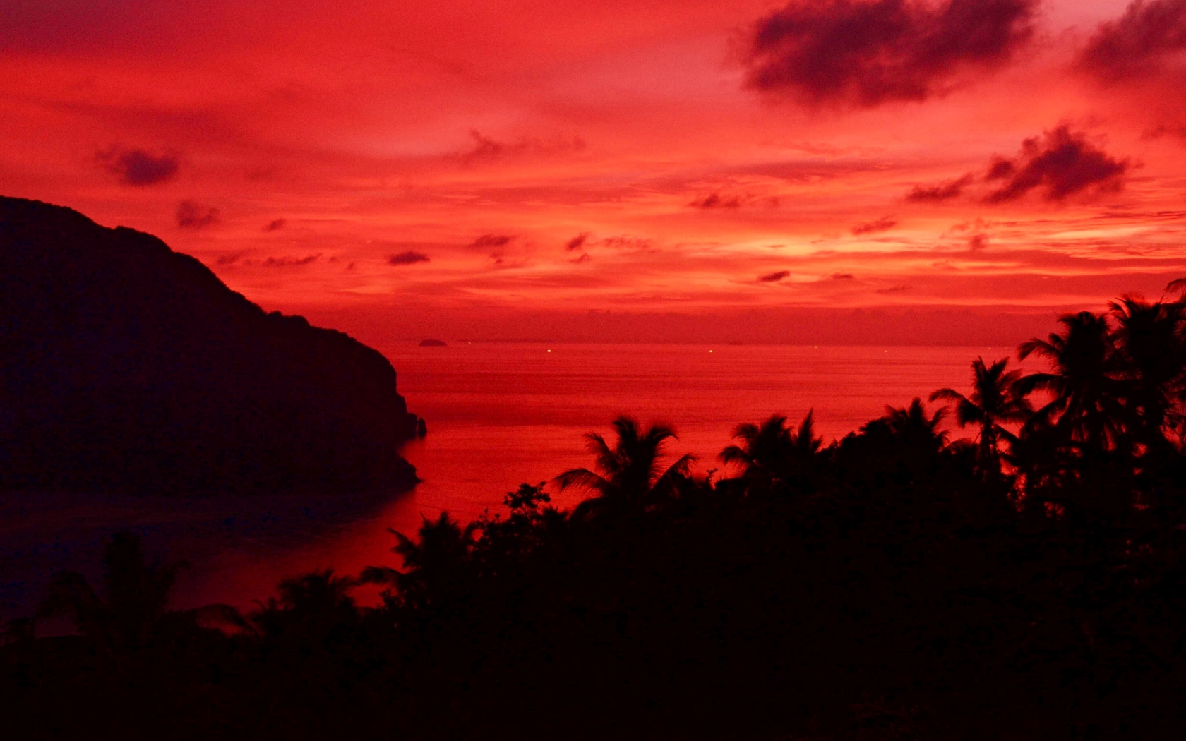 Sunset Tree Red Ocean And Sky Wallpapers