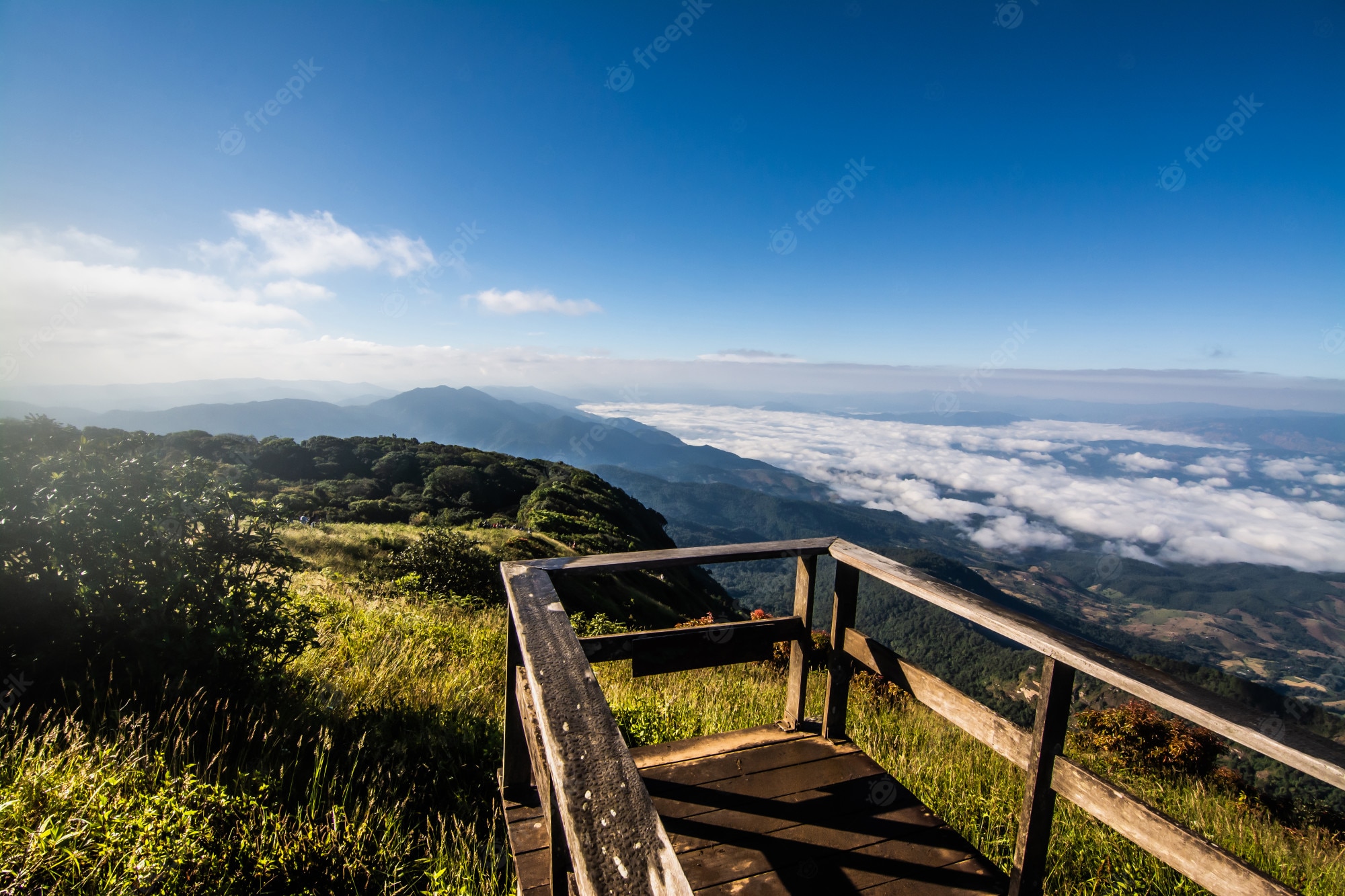 Thailand Doi Inthanon National Park Mountains Wallpapers