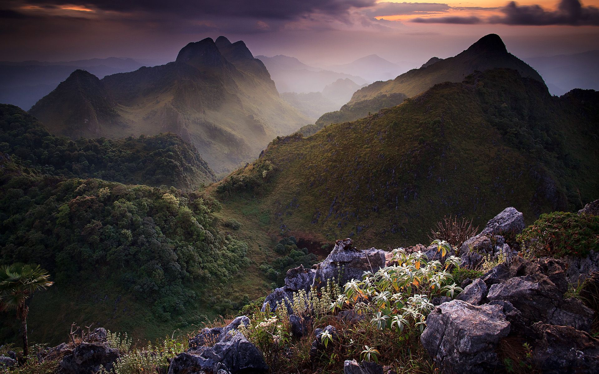 Thailand Doi Inthanon National Park Mountains Wallpapers