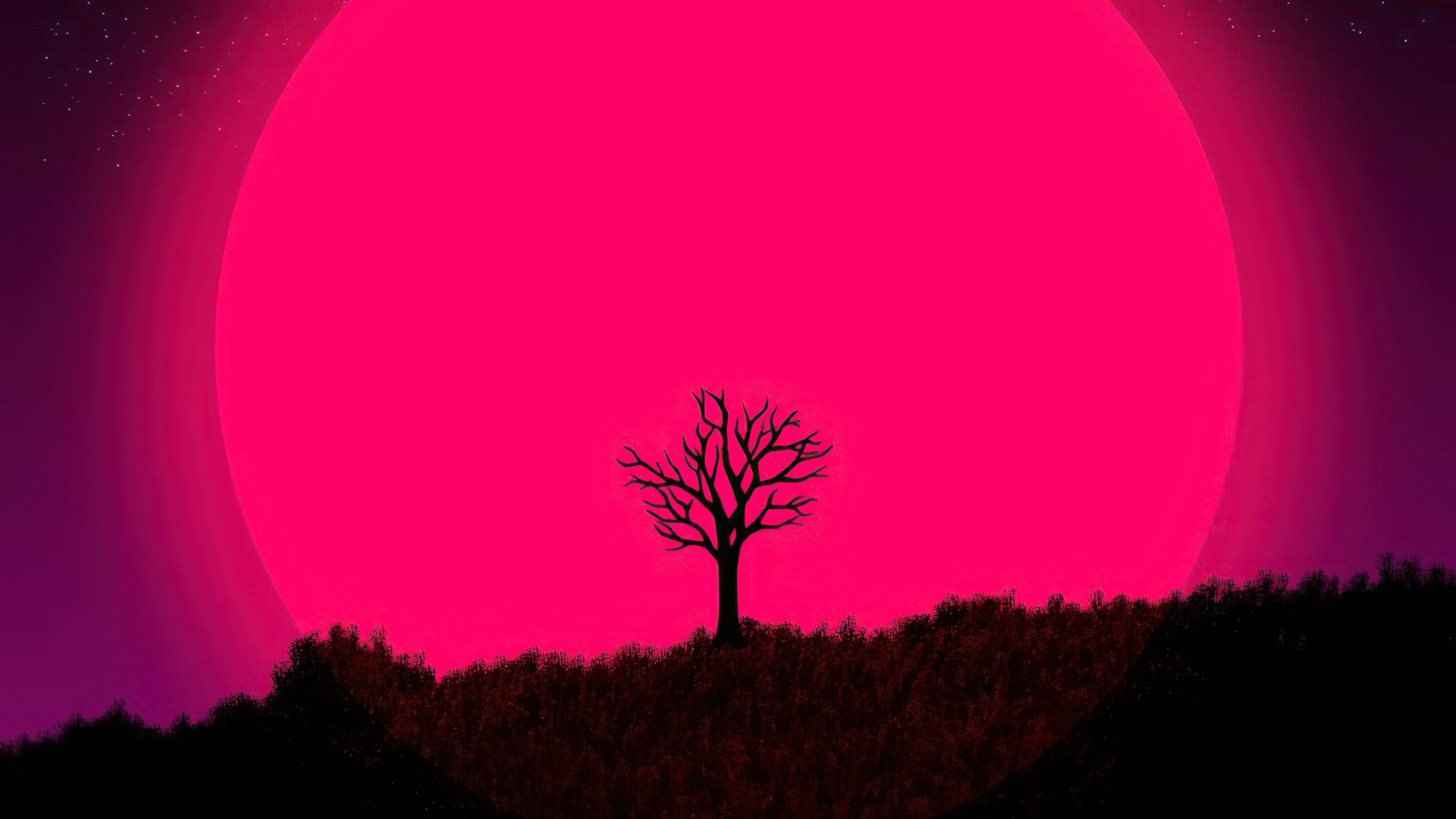 The Lonely Tree Wallpapers