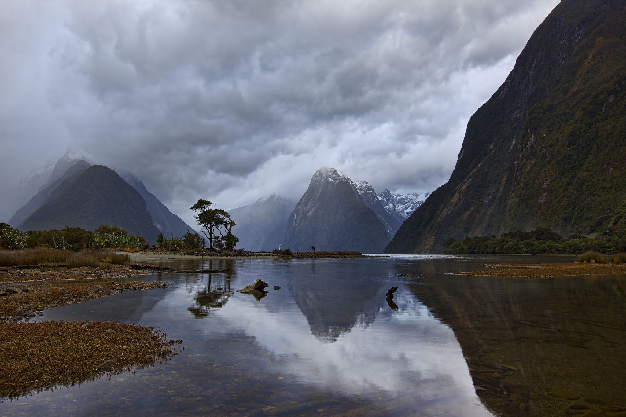 The Milky Pink Sea At Milford Sound 4K New Zealand Wallpapers