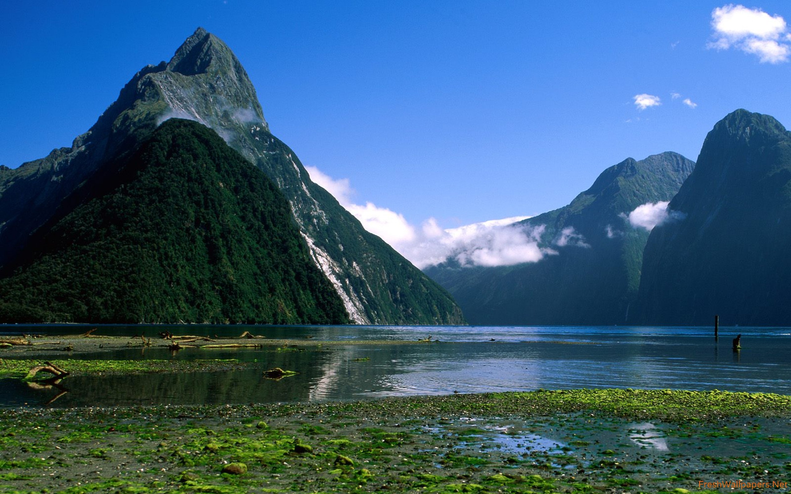 The Milky Pink Sea At Milford Sound 4K New Zealand Wallpapers