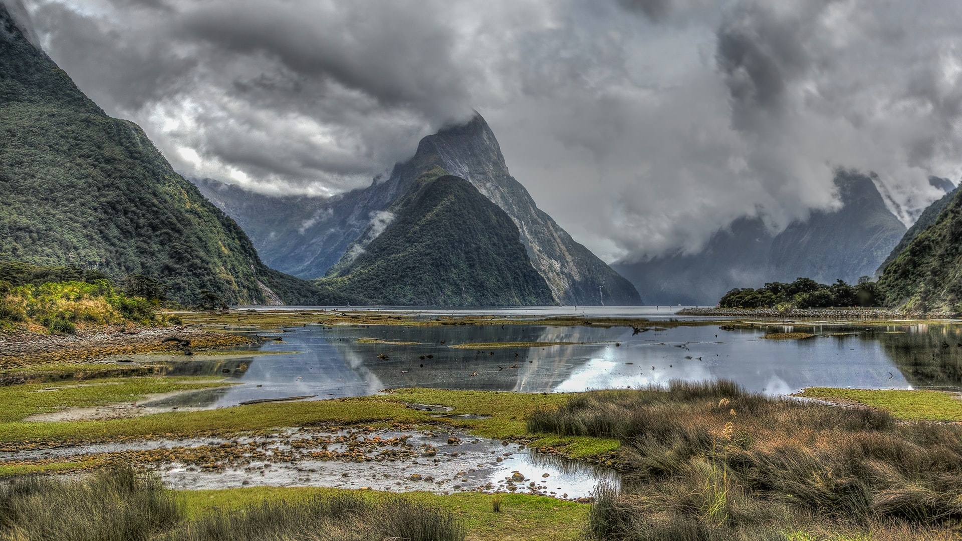 The Milky Pink Sea At Milford Sound 4K New Zealand Wallpapers