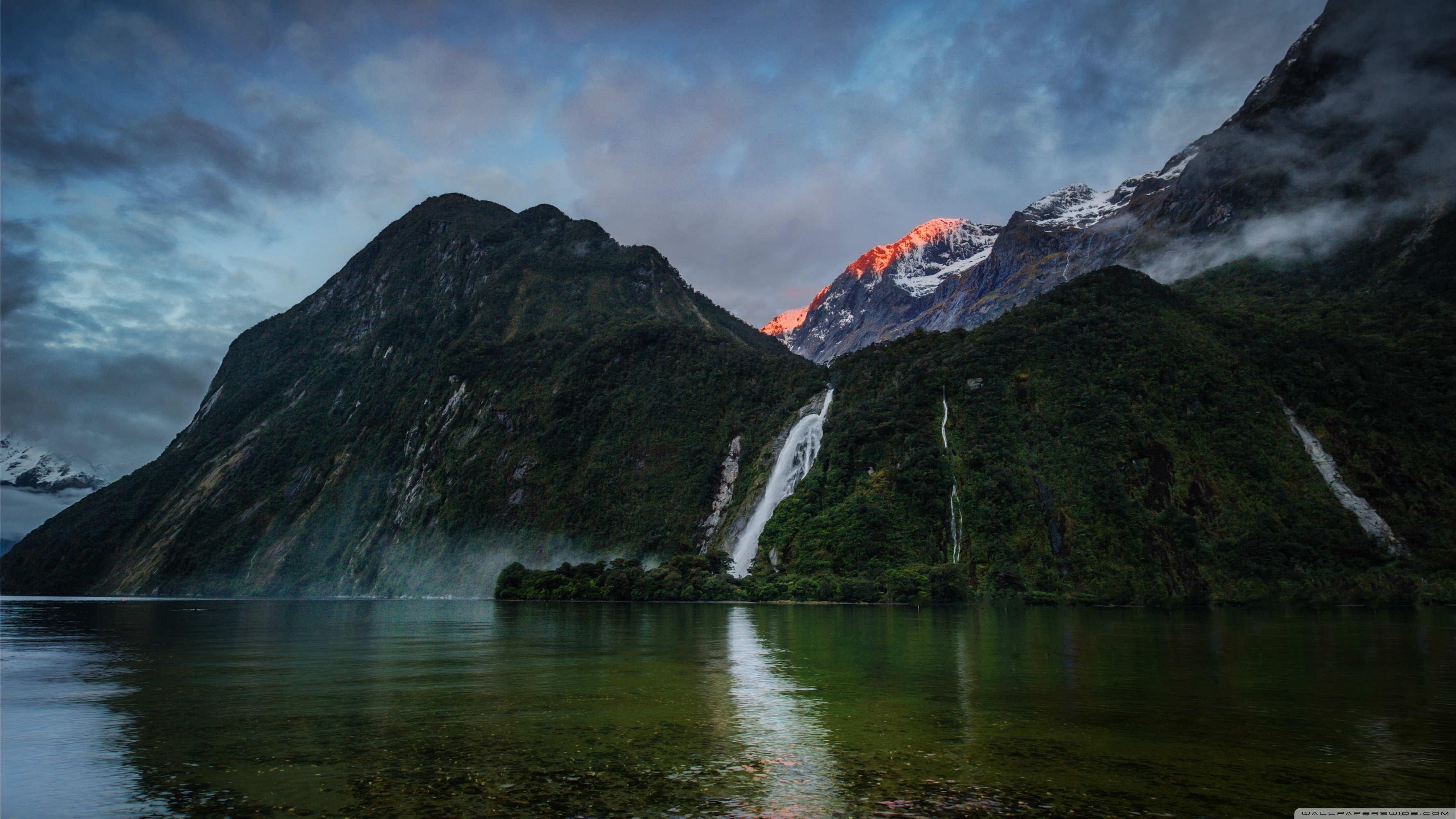 The Milky Pink Sea At Milford Sound 4K New Zealand Wallpapers