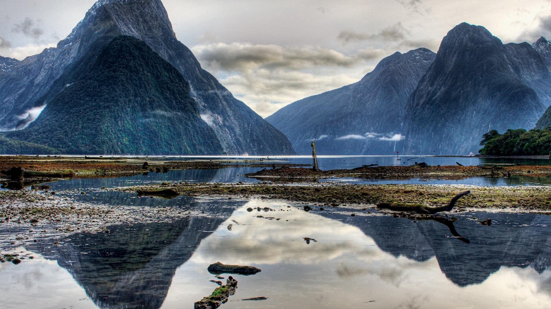 The Milky Pink Sea At Milford Sound 4K New Zealand Wallpapers