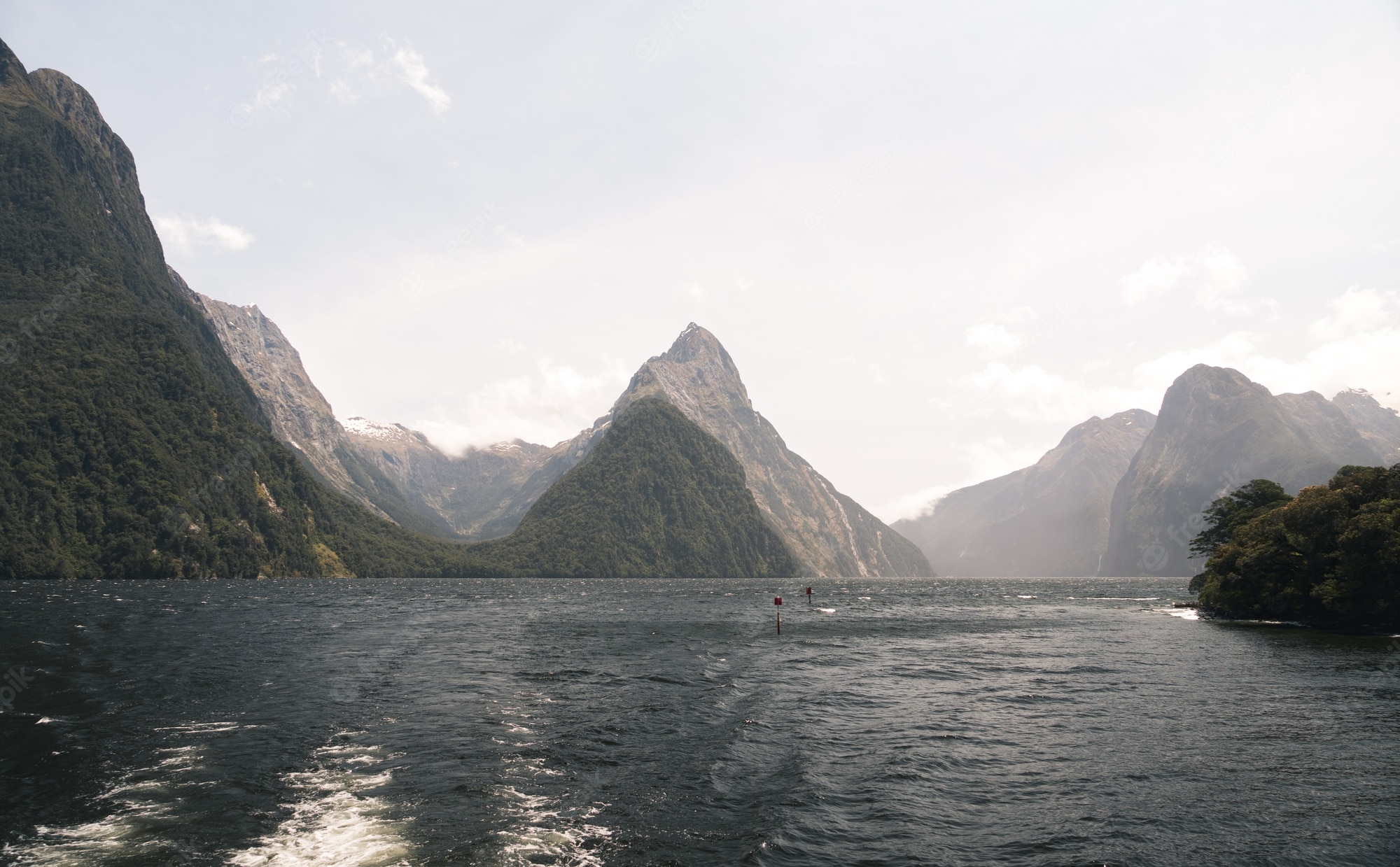 The Milky Pink Sea At Milford Sound 4K New Zealand Wallpapers